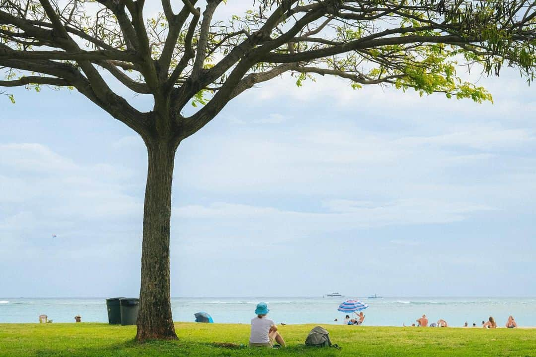 アレックス・シブタニさんのインスタグラム写真 - (アレックス・シブタニInstagram)「Postcards from around the island. 🤙📸」4月12日 11時33分 - alexshibutani