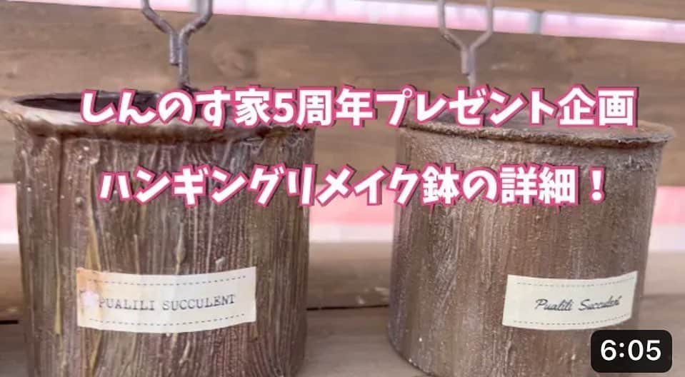古本新乃輔のインスタグラム：「さてさて、 多肉チャンネルの方のプレゼント詳細もまとめましたので、ぜひご覧下さい。  https://youtu.be/W3tbbp2RGZw  こちらは対象商品購入締切が13日中です。  コンビニ払い等の方は締め切りまでに完了していないとご応募は無効になりますのでご注意ください！ ！m(_ _)m！  そして、 スタバのメロンフラペチーノ！ 本日販売スタート！ですが… しんのす家からは明日の午後以降配信予定です！」