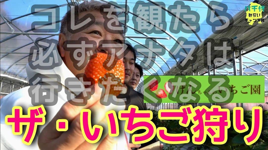 古本新乃輔のインスタグラム：「いやはや、 【閲覧注意食レポ！】 いちごが食べたくなる症候群になるぞ！  【げんちゃんのいちご園】 https://youtu.be/SxkSfWNaP4w (プロフィール欄のリンクツリーから八千代みらいチャンネル へジャンプしてね！) #YouTube  #八千代みらいチャンネル  #古本新乃輔  #千葉県  #八千代市  #吉橋 #げんちゃんのいちご園 #いちご狩り #食レポ  #地域活性化」