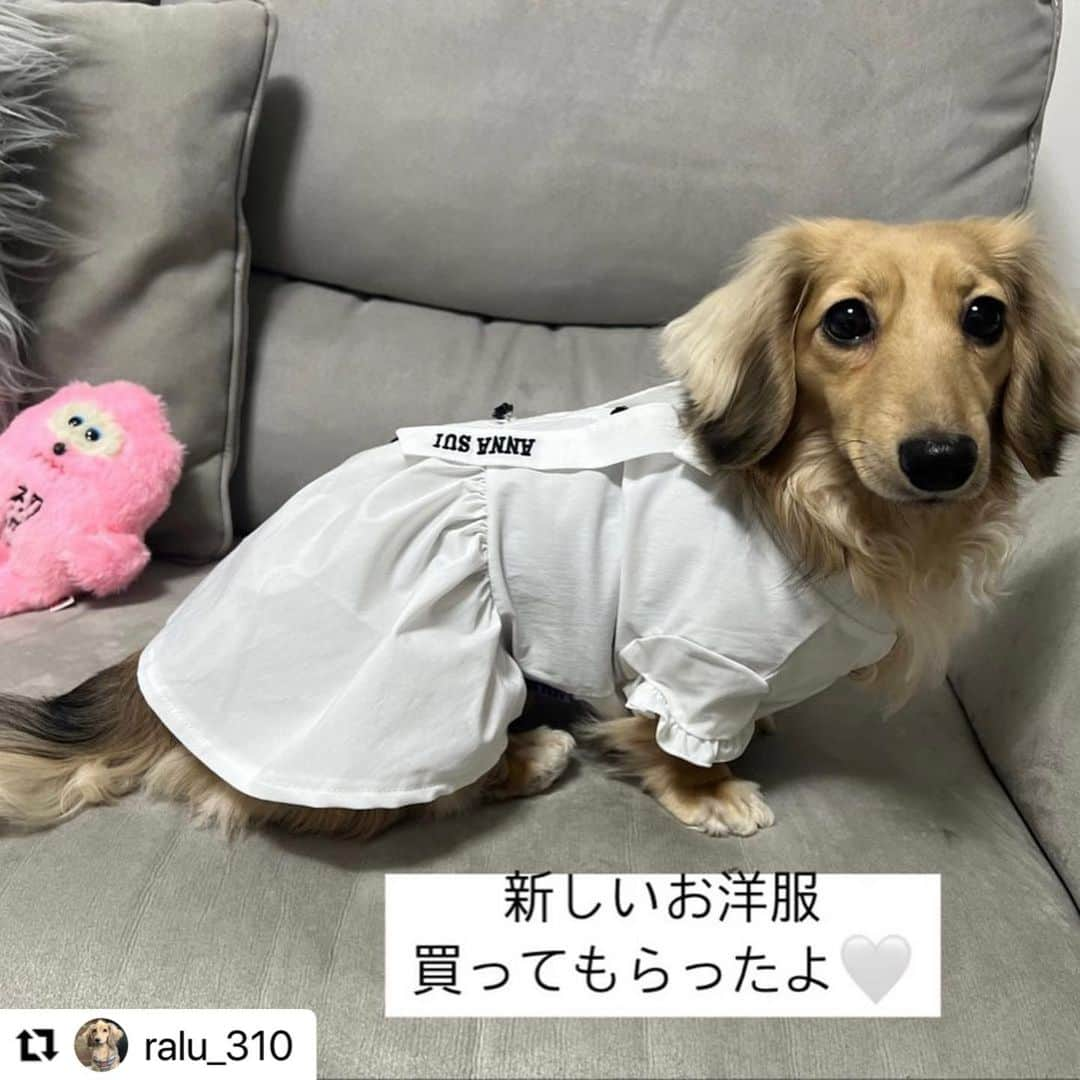 Caluluのインスタグラム