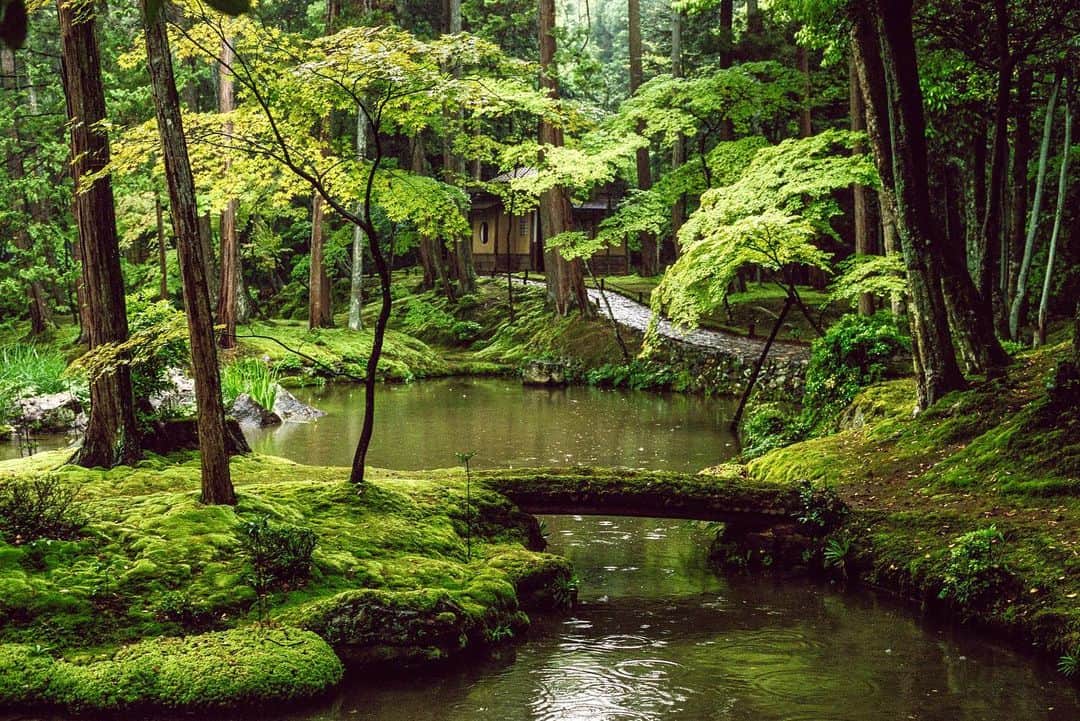 Michael Yamashitaのインスタグラム：「An enchanted world in shades of green, Kyoto's Saihoji garden. Known as the Moss Temple, this UNESCO World Heritage Site is carpeted by over 100 varieties of moss. #JapaneseGarden #Kyoto #Saihoji #mossgarden #moss」