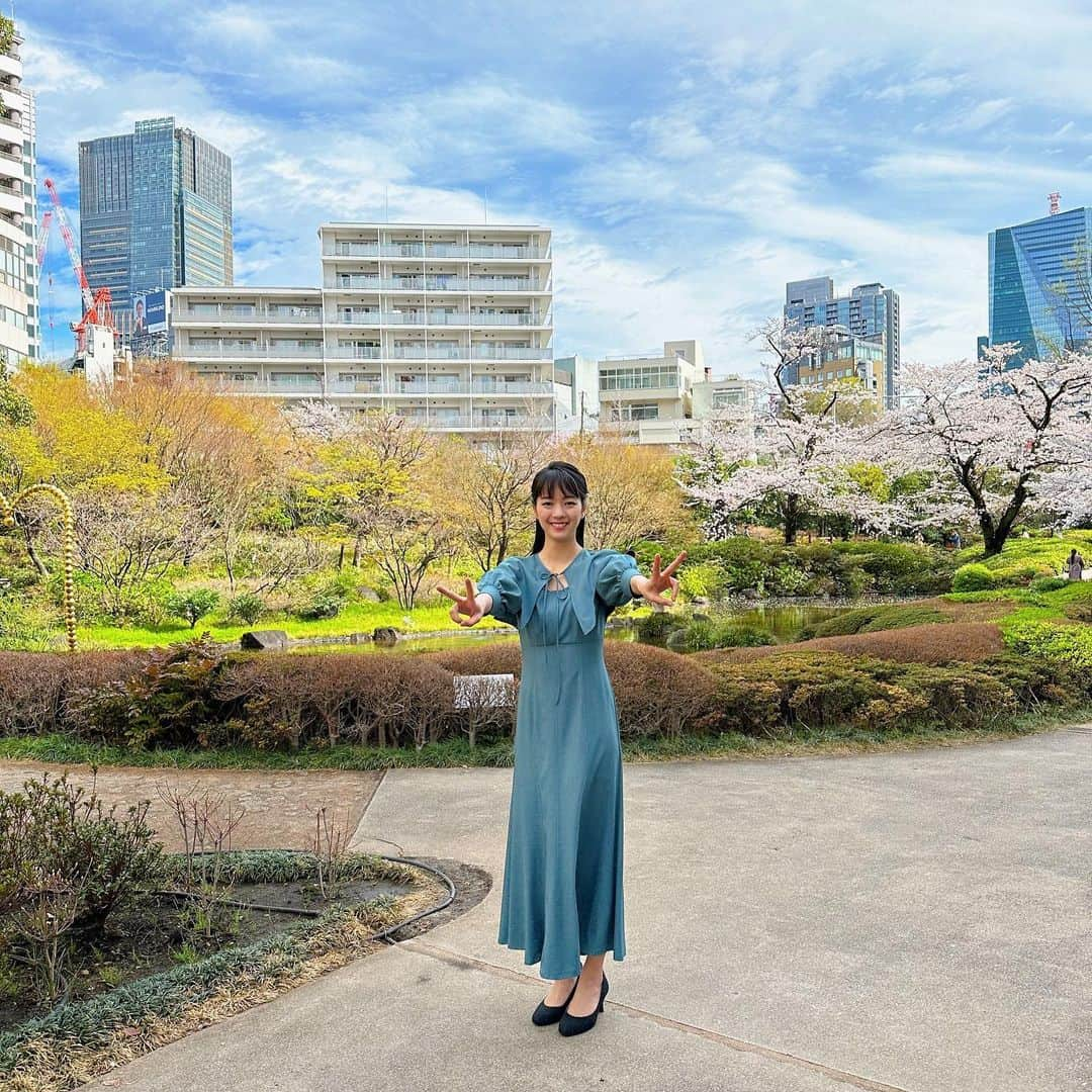 紀真耶のインスタグラム：「さくら待ち受けの配信が始まりましたー🌸 ちょっぴり風が強い日でした！ 3枚目は入社3年目の桜撮影の時、森川ちゃんと撮った写真！  ☆ ☆ #さくら待ち受け #さくら #桜 #春 #3年目 #何年前  #大人になってるはず #森川夕貴 #懐かしいね #紀真耶」