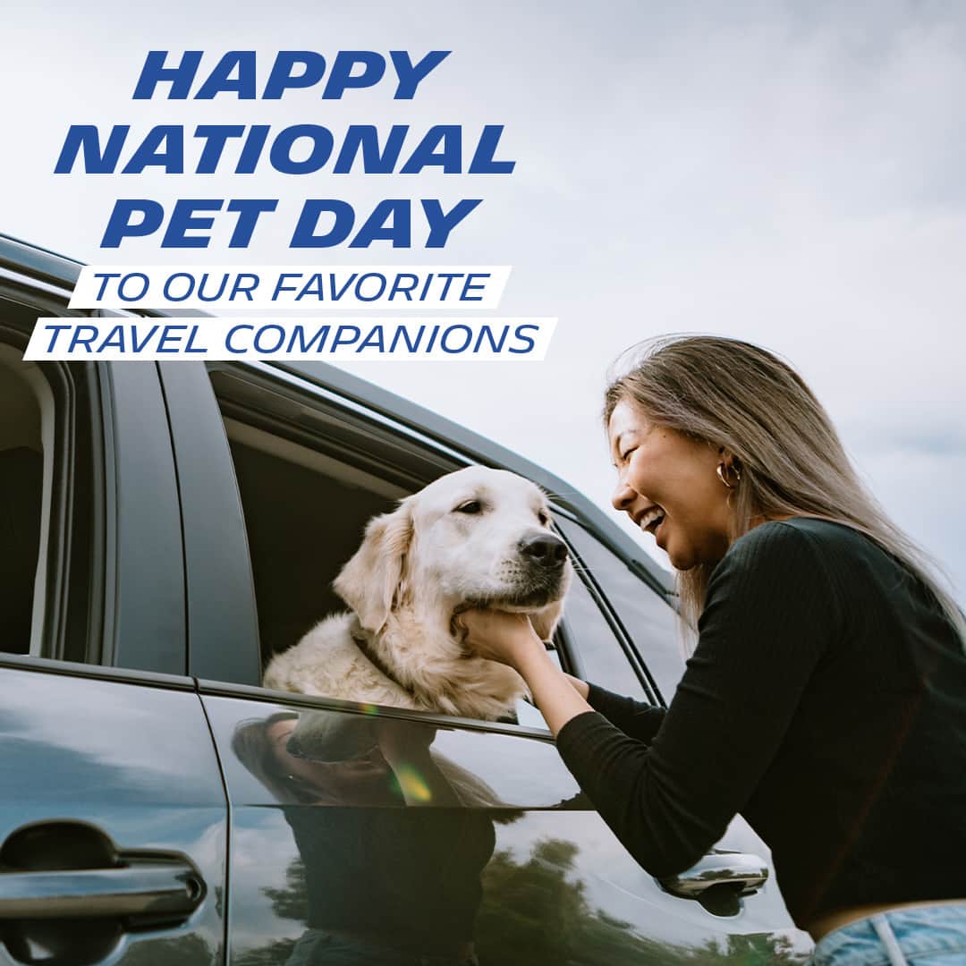 ミシュランのインスタグラム：「It’s not about where you go, but who you travel with. Tag us in photos of your cuddly travel companions on the road for #NationalPetDay!」