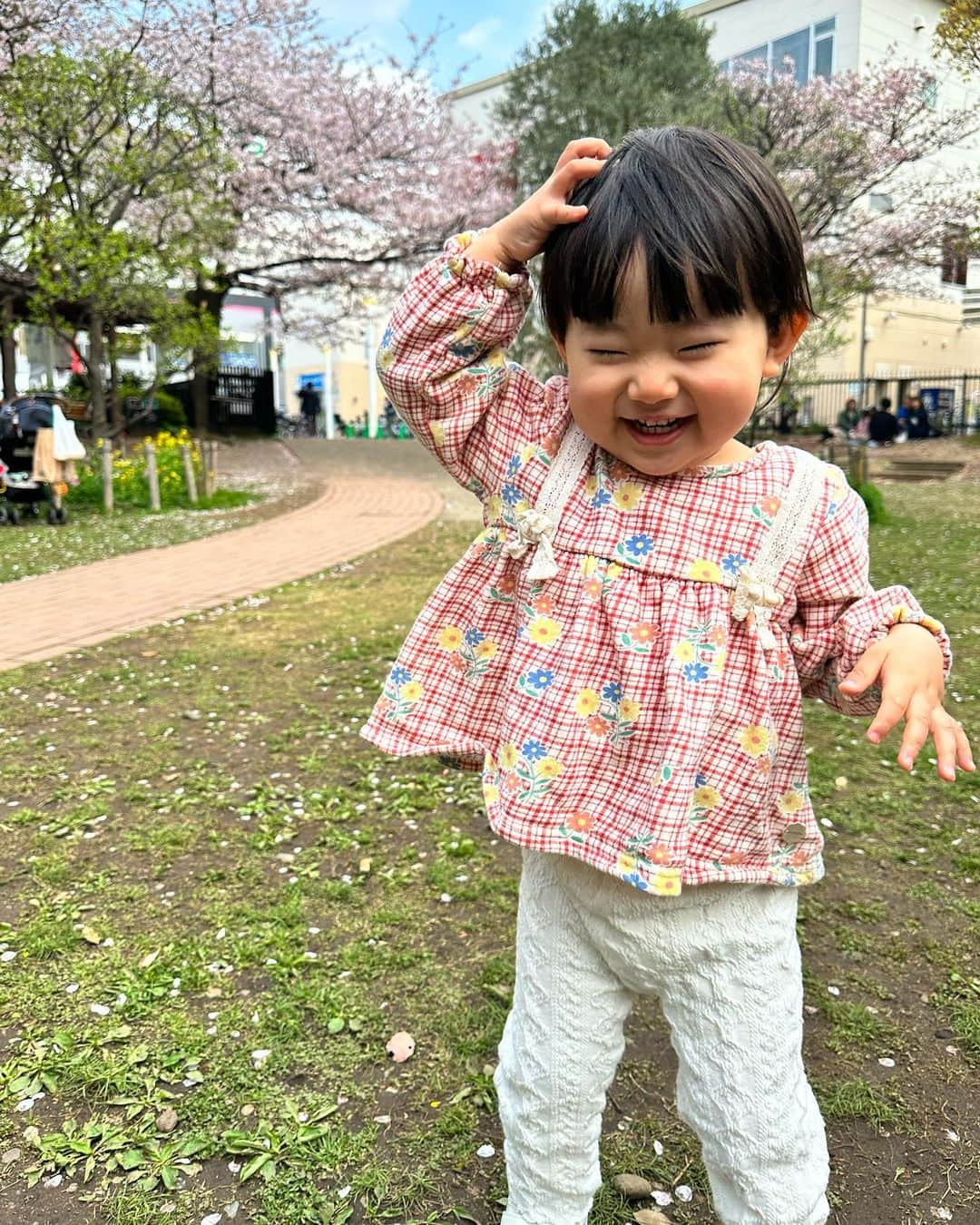 真麻のインスタグラム：「2023年4月🌸唯一の家族花見👨‍👩‍👦動画あり( ∩'∀'📸⊂ )✨️いや、しかもたまたま(笑)千葉県にある子ども専門便秘外来へ行ったら、すぐそばの公園が桜めちゃ咲いてて😊息子のことばかりになりがちで…花見行く余裕もなかった🤣1人暮らしサポート、大学生活開始…いよいよ始まったから後は本人の頑張り次第です💪てかたまたま知り合った人が、上智大学見えるとこに住んでる奇跡はやはり母の運が引き寄せてる？💫最近異様なくらいラッキーフード食べたくなりがちで、韓国人ですか？くらいナムルとキムチ❣️ナムル3種、今日作ろ〜(๑•̀ㅂ•́)و ✩.*˚ 娘は1歳8ヶ月になり、また成長が著しい👶今まで絶対にダメな男の人が児童館受付でなぜかハイタッチしたり✋帰りもおばちゃんとハイタッチしてた(笑)保育園でハイタッチやってるの？ꉂꉂ(ˊᗜˋ*)先生にも急成長って言われてるけど、家でも凄い…ハグして欲しいと「ぎゅぎゅー！」って言いながら来るし、可愛すぎて🤦‍♀️💘昨日は食べたいゼリー持ってきたけど既に食べたし、それはないないね！また明日！って言ったらウンって言って戻したり、言ってることもだいぶ理解してる👂訳もわからずギャーギャー泣くタイプじゃなくて助かる😅聞き分けがいい子で理解力がある🙏自分の子だけど本当に出来が良いよ(笑)芸も色々あるし🤪 ✩.*˚ 写真の頭に手を当てるのはおにぎりダンス🍙新しいポーズが生まれて楽しい(≧∇≦)男の子育児したけど、まぢで女の子育てやすいわ…性格もあるだろうけど😌絶対もうないと思ってるのに、娘の下に欲しくなる気持ちがちょいちょい出てくる…本能？上が19歳で私も38歳、大学生支えながらは経済的にも厳しいからなぁ🤔上の大学生2人がいなかったら作ってた話は旦那と何度もしてるけど、まぁその2人が数年したら社会人で見送れたら一気に楽だしね‼️自分たちの楽しみのために今は頑張ろう😍まだまだ娘の育児長いしね、やっぱまたゼロからスタートは無理だな(笑) ✩.*˚ ✩.*˚ ✩.*˚ #花見スポット #花見コーデ #1歳8ヶ月女の子 #令和3年8月生まれ #2人目育児 #3人目は孫レベル #高齢出産は心配 #体力もない #娘がただただ可愛い #生まれてくれてありがとう #愛してるぜベイベ」