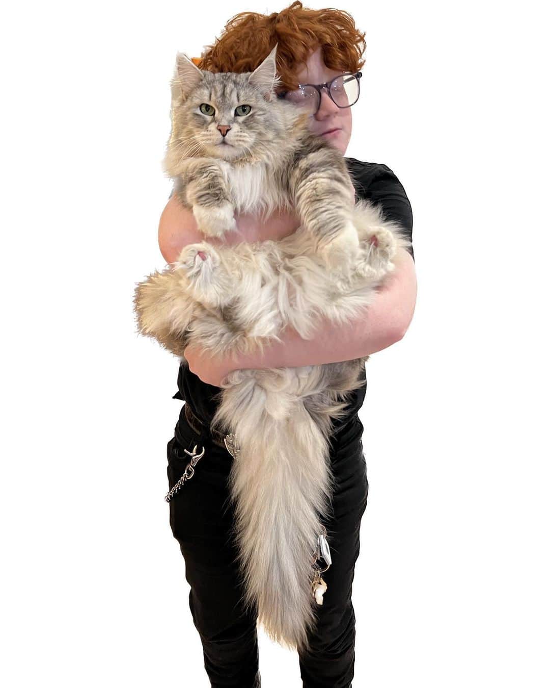 シンシア・ニクソンのインスタグラム：「We think every day is #NationalPetDay… but swipe through to see how Aurora feels about it 😹」