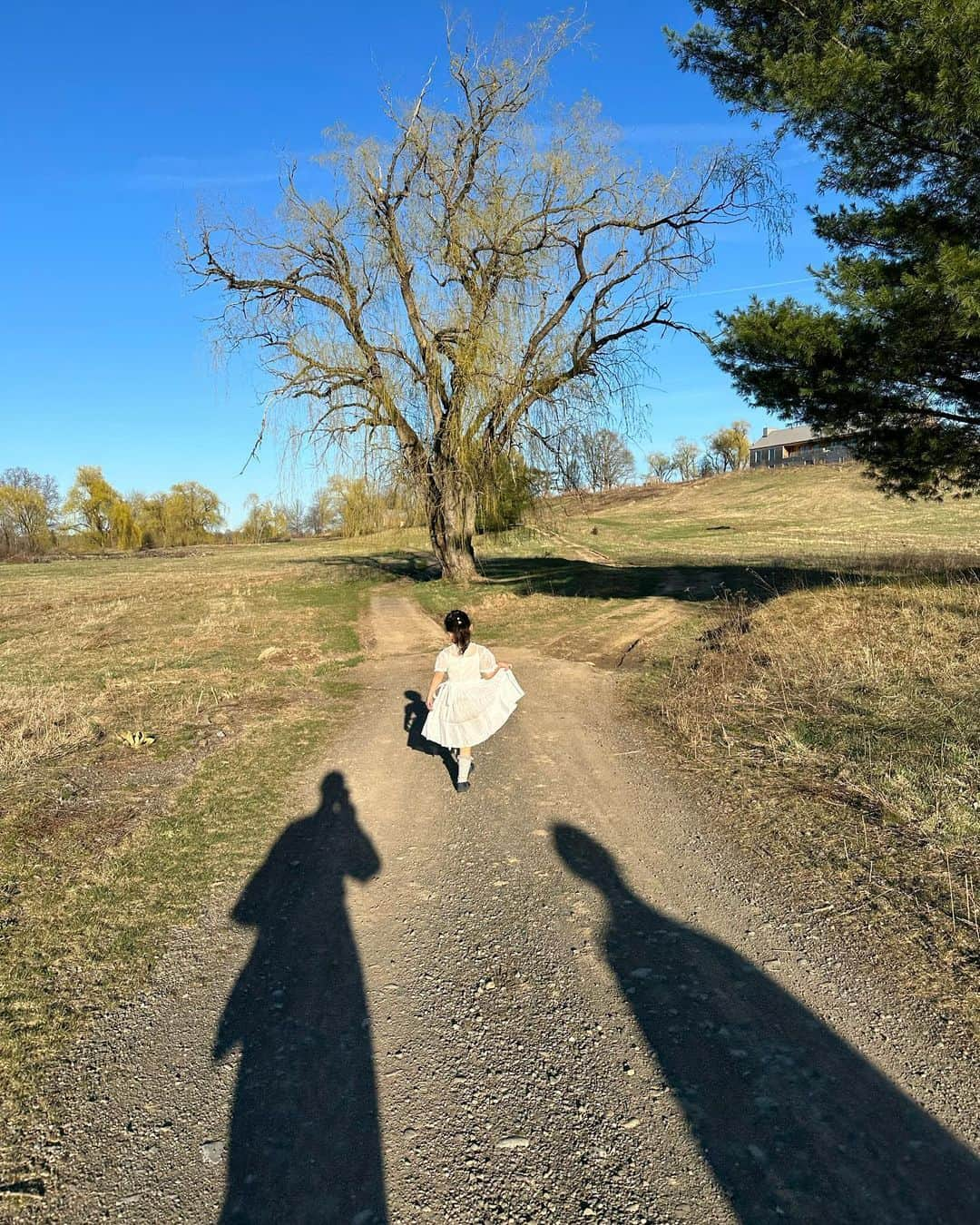 大塚良子さんのインスタグラム写真 - (大塚良子Instagram)「Spring break has started and we're visiting Inness @inness_ny for the first time.  Here is a dog friendly and peaceful.  アメリカの学校ってお休み多いよね？ 冬休みを満喫したと思ったらもう春休み あっという間に夏休みが来る〜 今年の夏は7月の1ヶ月を京都の古民家で過ごし 8月は東京をベースに色々訪れられたらと計画してます。 いまはそれをモチベーションに頑張る日々  今回はニューヨークから車で約2時間 アップステートにある ドッグフレンドリーなホテルInnessへ 食事とカクテルが美味しくて嬉しいです。  #springbreak #InnessNY #dogfriendly #peaceful  #NYvacay #newyork #accord #upstate #ny   #ニューヨーク生活#春休み#アップステートニューヨーク  #ニューヨーク移住#ニューヨーク#永住」4月12日 6時59分 - ryokokonami