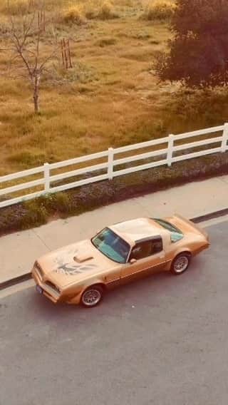 のインスタグラム：「Thoughts!? Credit @1978.transam _ #Classic #classics #Classiccar #classiccars #americanmuscle #Musclecar #Musclecars #car #cars #classicsdaily」