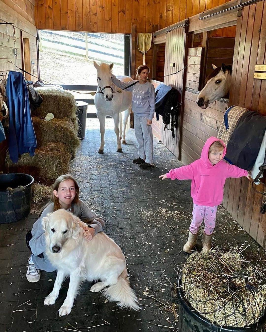 グッチ・ウェストマンさんのインスタグラム写真 - (グッチ・ウェストマンInstagram)「Happy #NationalPetDay from our lovable crew to yours! 🐾 🐶🐴 🐱❤️」4月12日 7時15分 - gucciwestman