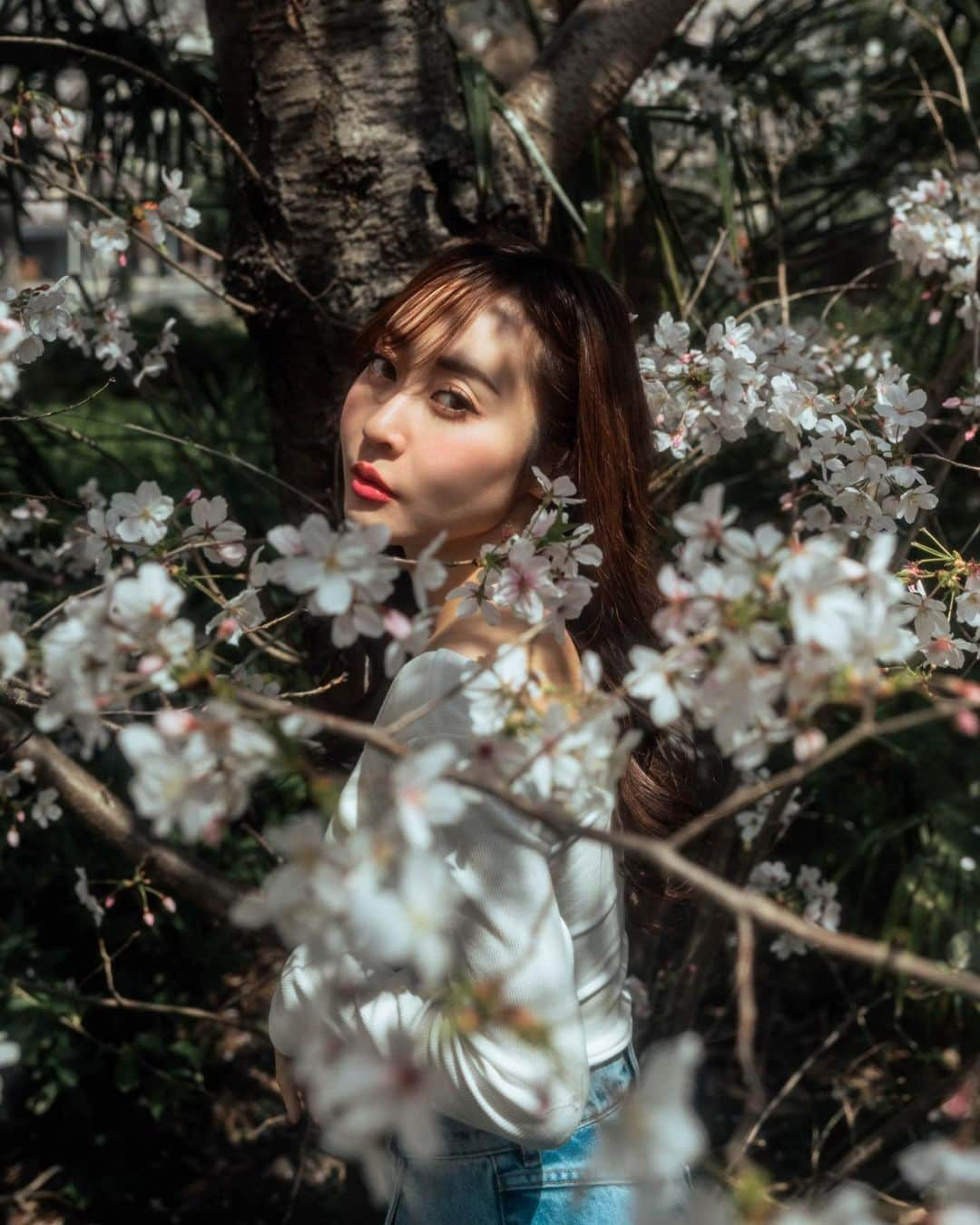 白井ゆかりさんのインスタグラム写真 - (白井ゆかりInstagram)「🌸🌛  photo @headman_tossy   #桜撮影 #桜2023 #桜ポートレート」4月12日 8時47分 - yukarealestate