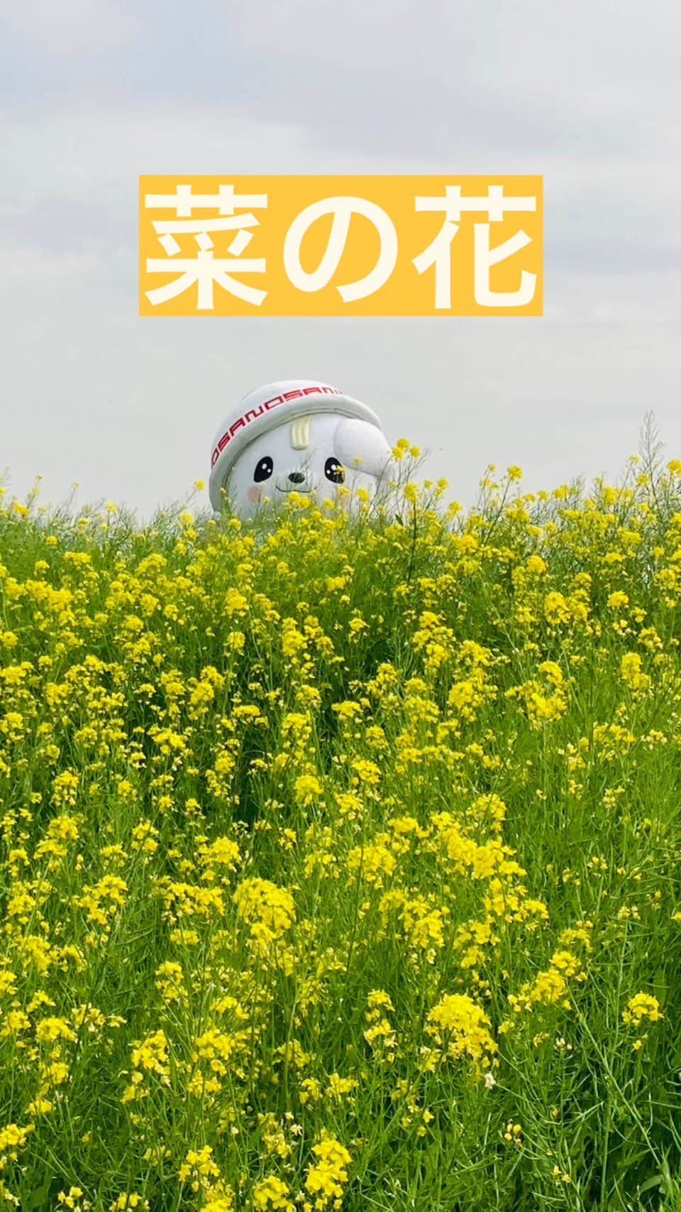 さのまるのインスタグラム