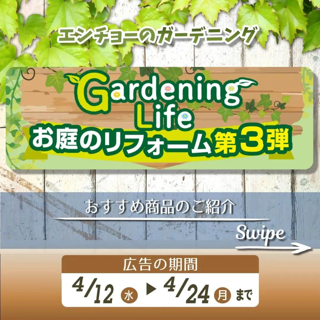 エンチョーさんのインスタグラム写真 - (エンチョーInstagram)「【チラシ】GardeningLife－お庭のリフォーム第３弾－ ーおすすめ商品のご紹介ー 広告の期間： 4/12（水）～4/24（月）まで   ジャンボエンチョー・ホームアシストのチラシ商品やキャンペーンをピックアップしてご紹介！   今回は、4/12号チラシの「GardeningLife－お庭のリフォーム第３弾－」からオススメアイテムをご紹介！ ※掲載価格は税込価格となります  ※掲載商品は店舗によりお取り寄せになる場合がござい ます  ※広告の商品が売り切れの場合はご容赦くださいませ  ※写真は一部イメージになります   ▼広告の詳しい内容は「エンチョー　チラシ」で検索▼   #DIY #エンチョー #ホームセンター #Gardening  #園芸  #野菜  #家庭菜園  #お花  #花壇  #トマト  #ナス  #ペチュニア  #マリーゴールド  #春園芸  #ハイポネックス  #液肥  #実生苗  #接木苗  #静岡diy  #diyのある暮らし」4月12日 9時04分 - encho.co