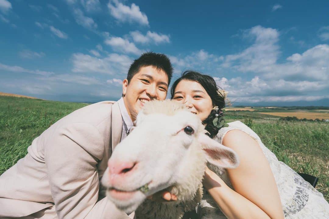 STUDIO SOLAのインスタグラム：「⁡ 【北海道の大自然で最高のフォトウェディング🌿】 ️ ファームズでのロケーションは北海道のならでは✨ ヤギ！！可愛い💕💕  毎年大好評の 北海道スタジオSOLAが 2023年は6月〜10月で期間限定OPEN☀️  ⁡ 詳しくは最寄りの店舗までお電話またはメールにて お気軽にお問い合わせ下さい✨ ⁡ ⁡ おかげさまでたくさんのお問い合わせ、 撮影のご予約をいただいております🙇‍♀️ お問い合わせはお早めに✨ ⁡ ⁡ デコルテ公式アカウント ▷▷ @decollte_weddingphoto ⁡ スタジオアクアSOLA ▷▷ @studiosola_hokkaido  ⁡ ⁡ #d_weddingphoto #デコルテフォト #スタジオソラ #美瑛前撮り　 #スタジオSOLA #北海道ウェディング　 #撮る結婚式 #ウェディング #ウェディングフォト #フォトウェディング #フォトスタジオ #花嫁 #プレ花嫁 #卒花嫁　 #関東花嫁 #リゾートウェディングフォト #花嫁準備 #前撮り #後撮り #結婚式 #結婚式準備  #ヘアメイク #洋装前撮り #和装前撮り #ドレス試着 #北海道前撮り  #ウェディングフェア #プレ花嫁さんと繋がりたい #全国のプレ花嫁さんと繋がりたい #日本中のプレ花嫁さんと繋がりたい」