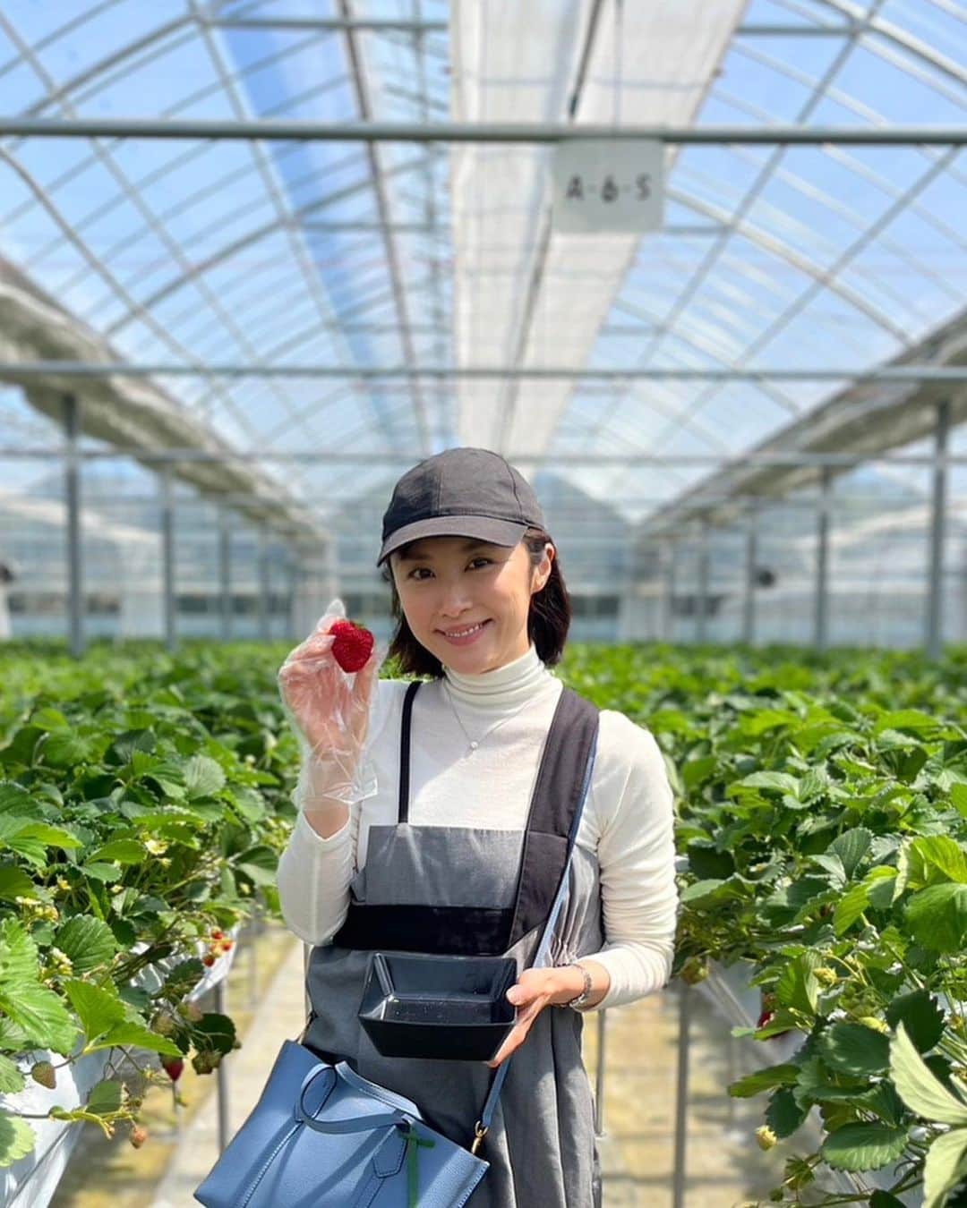 山口もえのインスタグラム：「・  いちご狩りに行ってきたよ🍓✨ 心残りはございません！！ って断言できるほど食べてきた。笑  #いちご狩り #家族  #いちご  #🍓 #無農薬  #千葉県」