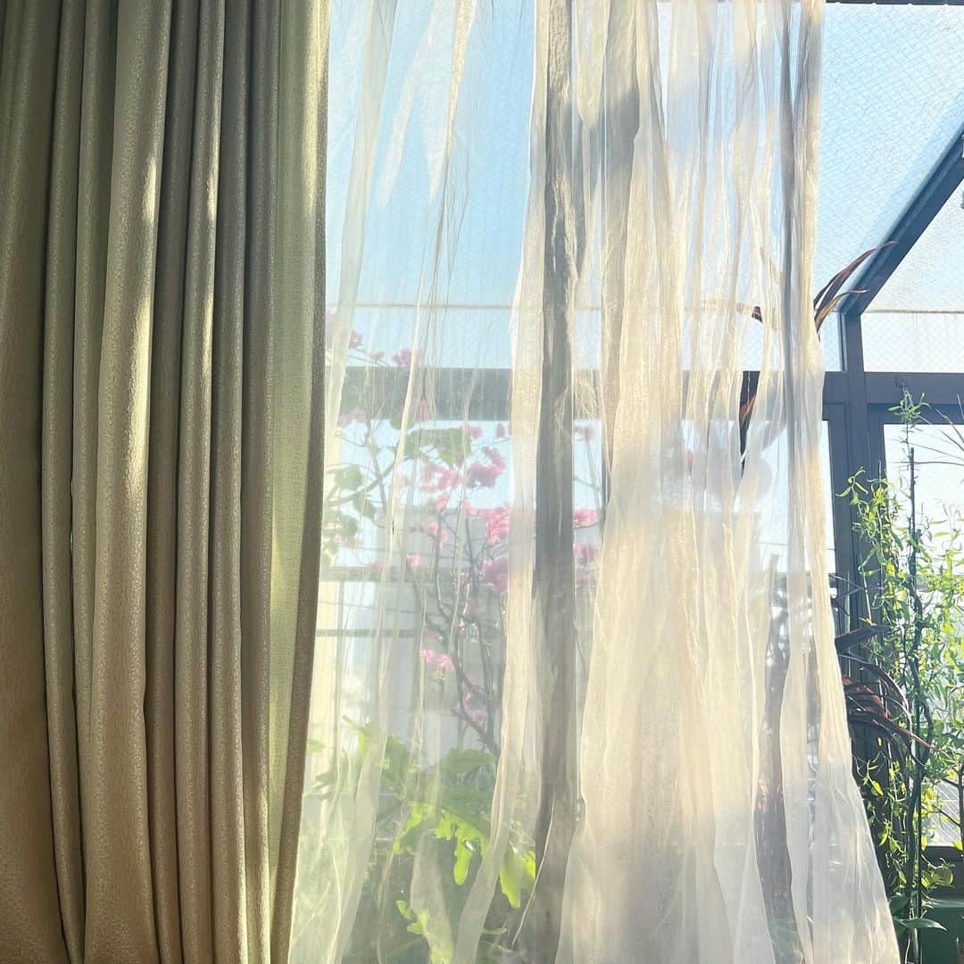圭叶（KEYKA）さんのインスタグラム写真 - (圭叶（KEYKA）Instagram)「おばあちゃんの家の大好きスポット📍 お花沢山咲いてて本当に気持ち良い」4月12日 10時40分 - https.keyka