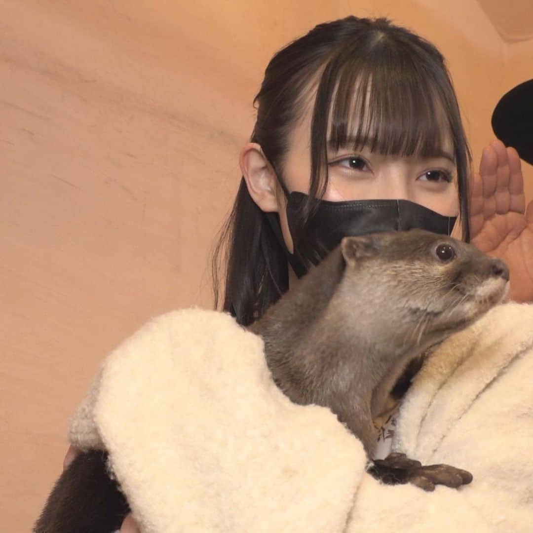 あかせあかりのインスタグラム：「出演情報🌈 あかせあかり初の冠番組、テレビ愛知「#アカリノコマド」が 本日4月12日(水)深夜24時より放送開始します！   初の冠番組！しかも地元愛知で✨ 山田ルイ53世さんと一緒に楽しい番組にして行ければと思ってます！  テレビ愛知が見られない方も「ろきぽ」にて観られるので是非チェックしてください🌸  #あかせあかり  #冠番組  #テレビ愛知 #アカリノコマド」