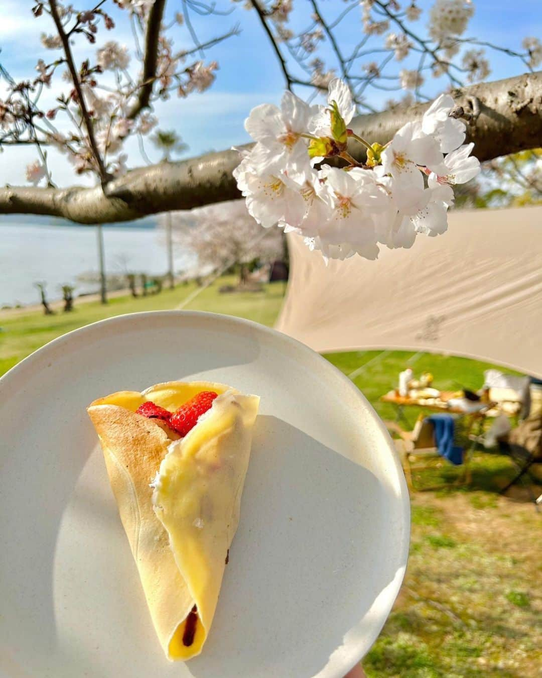 平地真菜さんのインスタグラム写真 - (平地真菜Instagram)「【ディキャンプ体験🌸】 桜の季節に四本堂公園で デイキャンプしてきました〜！✨  釣りの師匠がキャンプにすっかりハマってしまっていて、最初は師匠を取られた！くらいに思っていました。  でも、一度体験してみると 「これはハマる…」と納得。  心地よい風を感じながら食材を準備して、 海と桜を眺めながら美味しいご飯食べて、 まったりコーヒー飲んで、 デザートのクレープを食べて。  幸せ、、、ってコメントしか 出てきませんでした笑  キャンプと聞くと テントの片付けが大変で、 洗い物も沢山あるし、、、 と思っていたけど想像以上に手軽！  まあ、全て師匠の持ち物なんですけれどね😂 お借りしましたw  当たり前だけど、子供の頃に比べたら洗い物に慣れているし片付けも苦じゃなくなっていて「いろんな事に慣れたんだなぁ」と、歳をとったことを実感した瞬間でもありました😂  周りの人が人生を楽しんでいるから、 それに乗っかって 私も楽しませてもらっています🙋‍♀️✨  ありがたい！ 最高〜🤗  #時差投稿 #春のうちに #四本堂公園キャンプ場 #キャンプ飯 #デイキャン  次は釣竿持って行こう〜🎣 キャンプファイヤーもしたい〜」4月12日 22時07分 - mana_hirachi