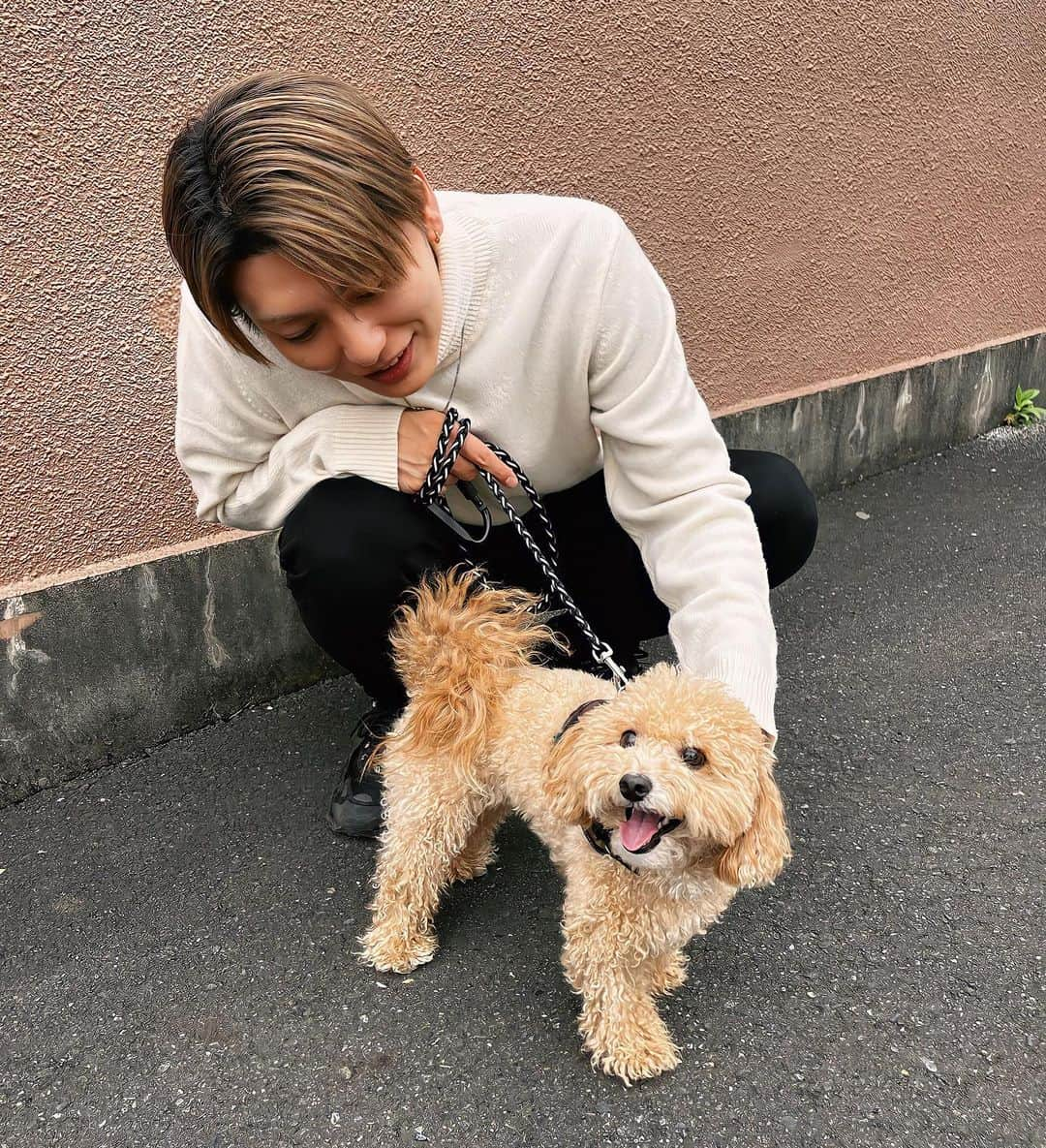 鍵本輝のインスタグラム：「暖かくなってきて外を散歩するのも 気持ちいい季節になってきた🐶👦🏻 もうすぐファンクラブイベント！ リハも大詰め！ 最高のライブをお届けできるよう 頑張ります💪  #Lead#鍵本輝#ゆぱ #Leadファンクラブツアー #LeadersParty18」