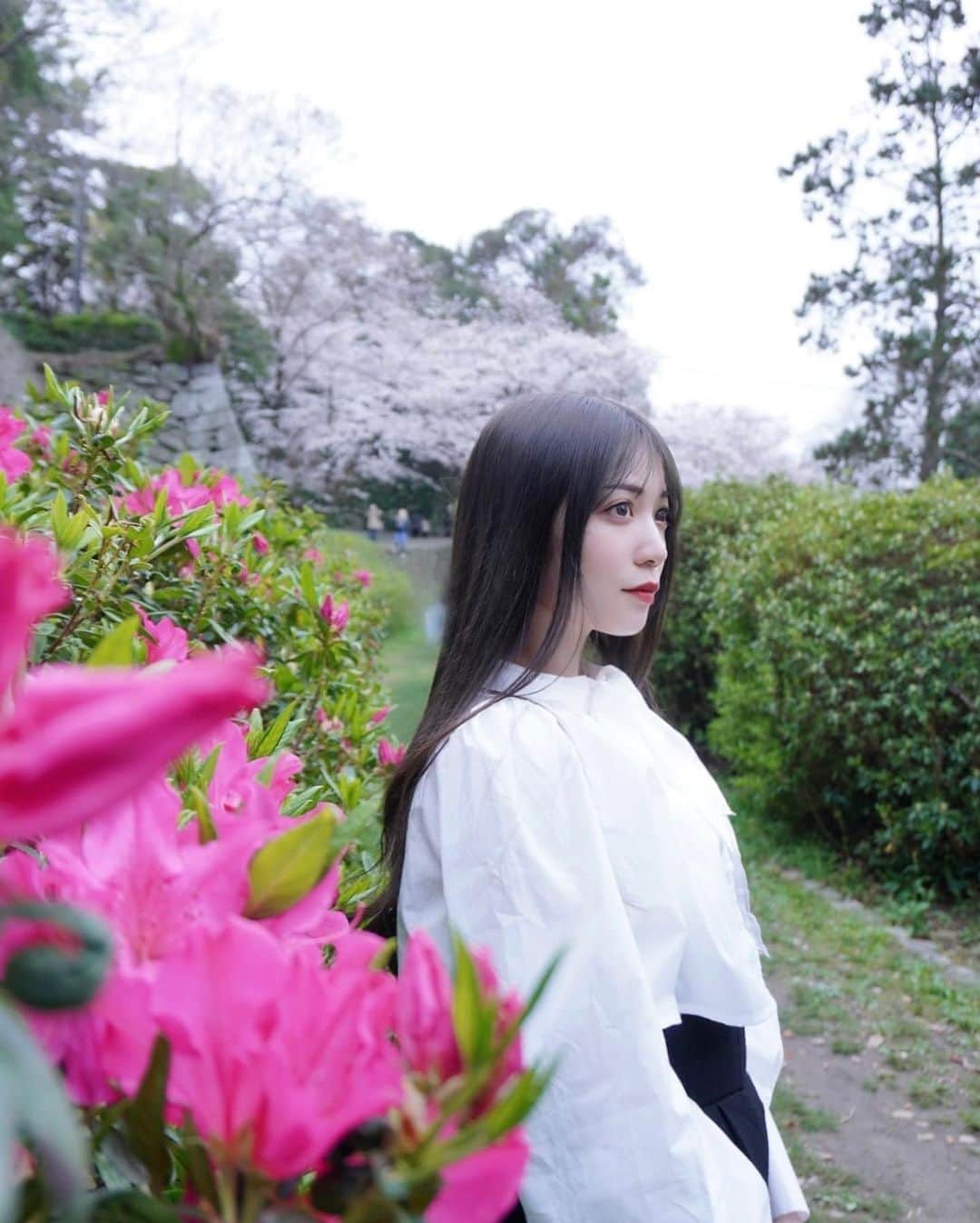 上野瞳さんのインスタグラム写真 - (上野瞳Instagram)「日本じゃないみたいでお気に入りの1枚🌺 桜のピンクとはまた違ったビビットピンクな このお花のコンビめずらしくて好き💐 通学路によく咲いてたな〜🤭何てお花だっけ？  ピンクと言えば前回のコスメ定期便RAXYが なんと大好きなCICAクリームブランドの シトラナさんの現品セットでした🥹🔥🔥アツい こちらのシカクリーム実は前から大好きで 開けた瞬間嬉しすぎて満面の笑みに😂❤️‍🔥❤️‍🔥←   シカクリーム以外のミスト化粧水、 ナイトクリーム、UVプライマーは全て初挑戦✊ UVプライマーは使ってみたらなんとピンク色🌸 絶対白だという先入観があって意外でしたが 肌に乗せるとワントーン上がるし肌が ブルベ寄りの色味になるから儚い印象になります🕊 これは韓国メイクと相性良さそうだ🤫💕  また動画作りたいっ✊🔥  #福岡観光 #舞鶴公園 #桜スポット #お花見スポット #ブルベメイク #ブルベコスメ #ブルベ夏コスメ #ブルベ冬コスメ #ブルベ夏 #ブルベ冬 #ブルベ #ブルベサマー #ブルベ #シカクリーム #cicaクリーム #韓国メイク #韓国コスメ #raxy #raxybeautybox #pr #raxy公式アンバサダー」4月12日 20時41分 - hitomi.8