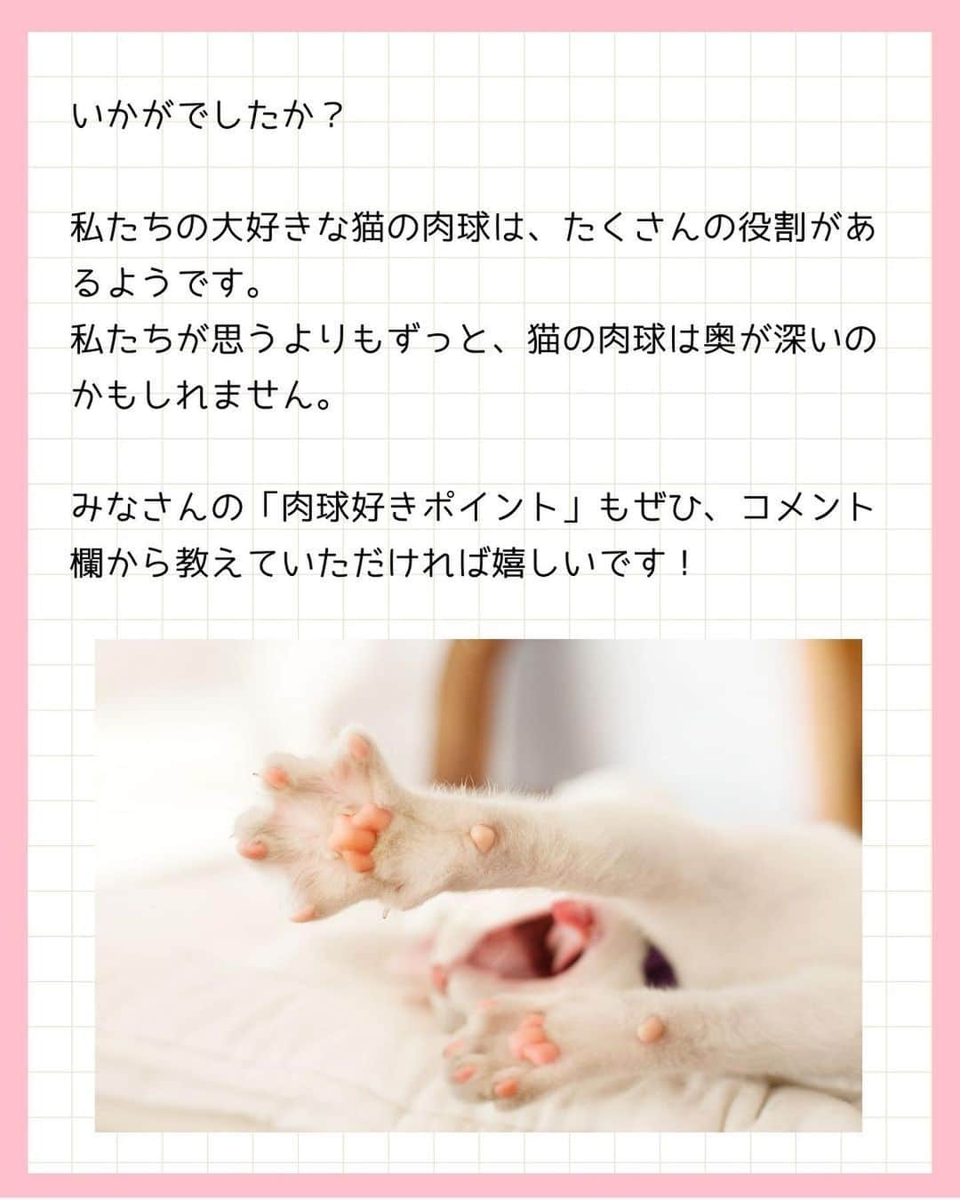 猫壱（ねこいち•ネコイチ）さんのインスタグラム写真 - (猫壱（ねこいち•ネコイチ）Instagram)「猫の肉球の正式名称知ってる？！  知ってるようで知らない、豆知識をご紹介します👍✨  :::::::::#猫壱 :::::::  猫壱は\猫が幸せ、私も幸せ/をモットーに猫グッズの開発に取り組んでいます♪ ▫ 気になる方は @necoichicojp をチェックしてみてくださいね！ ▫  ................................................  #猫壱豆知識#猫壱#necoichi #ねこあるある #猫あるある」4月12日 20時36分 - necoichicojp