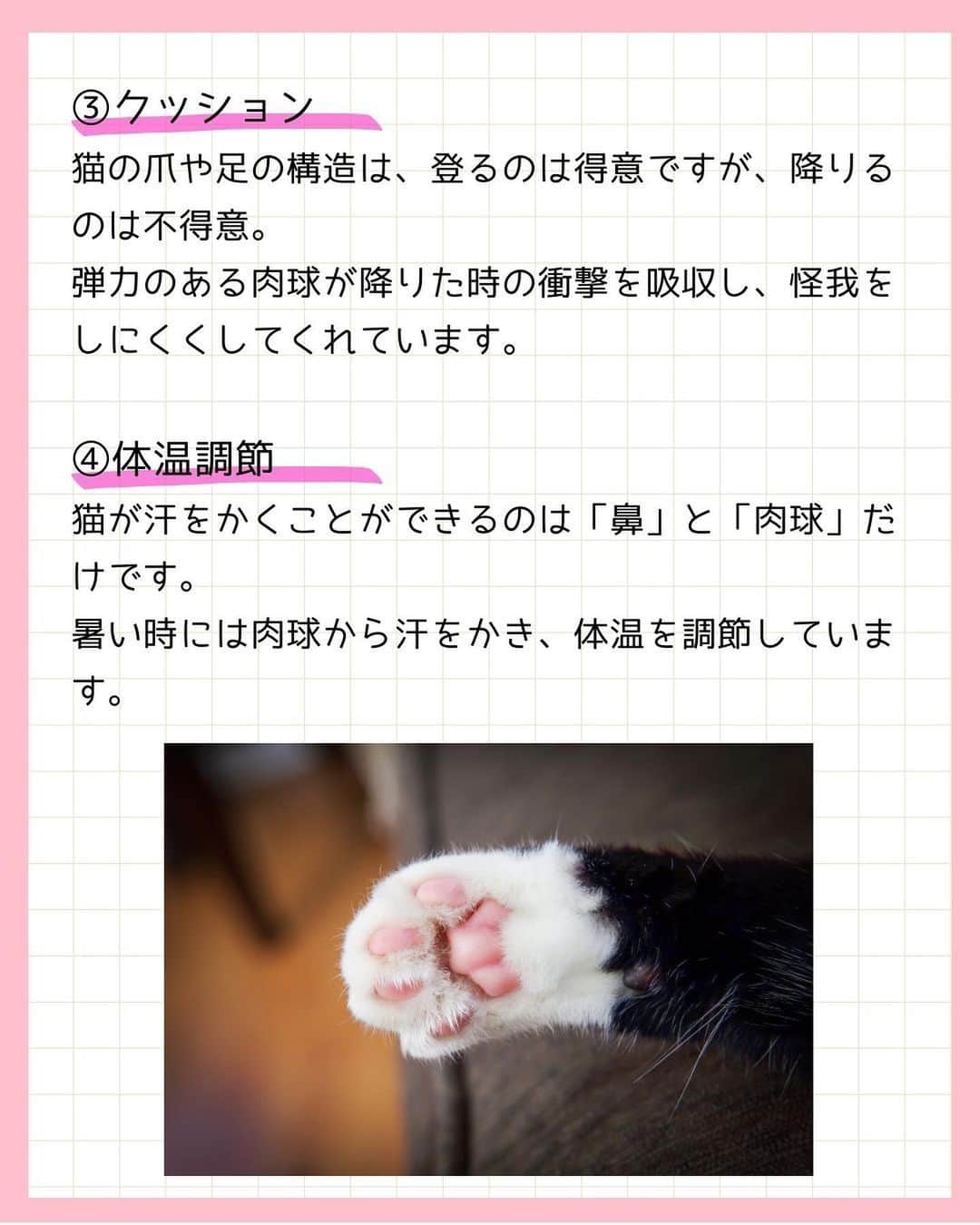 猫壱（ねこいち•ネコイチ）さんのインスタグラム写真 - (猫壱（ねこいち•ネコイチ）Instagram)「猫の肉球の正式名称知ってる？！  知ってるようで知らない、豆知識をご紹介します👍✨  :::::::::#猫壱 :::::::  猫壱は\猫が幸せ、私も幸せ/をモットーに猫グッズの開発に取り組んでいます♪ ▫ 気になる方は @necoichicojp をチェックしてみてくださいね！ ▫  ................................................  #猫壱豆知識#猫壱#necoichi #ねこあるある #猫あるある」4月12日 20時36分 - necoichicojp