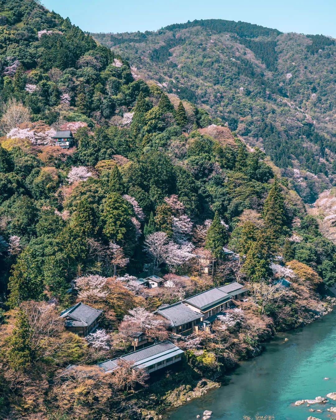 HOSHINOYA｜星のやのインスタグラム：「A another world isolated from the hustle and bustle of the city. In spring, many cherry trees bloom. The private residence by the river offers you a special moment.  都市の喧騒から隔絶された別世界──。 春には、多くの桜が咲き誇ります。 川辺に佇む私邸は、あなたに特別なひとときを提供してくれます。  #hoshinoyakyoto #hoshinoya #hoshinoresorts #kyoto #arashiyama #kyotojapan #kyototrip #japantrip #travel #ryokan #luxuryresort #luxuryhotels #cherryblossom #星のや京都 #星のや #星野リゾート #京都 #嵐山 #京都ホテル #京都旅館 #おこもり宿 #リゾートホテル #京都旅行 #桜」