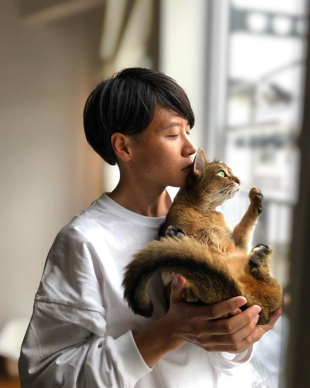 鎧坂哲哉さんのインスタグラム写真 - (鎧坂哲哉Instagram)「#ねこすたぐらむ」4月12日 20時59分 - t_yoroizaka