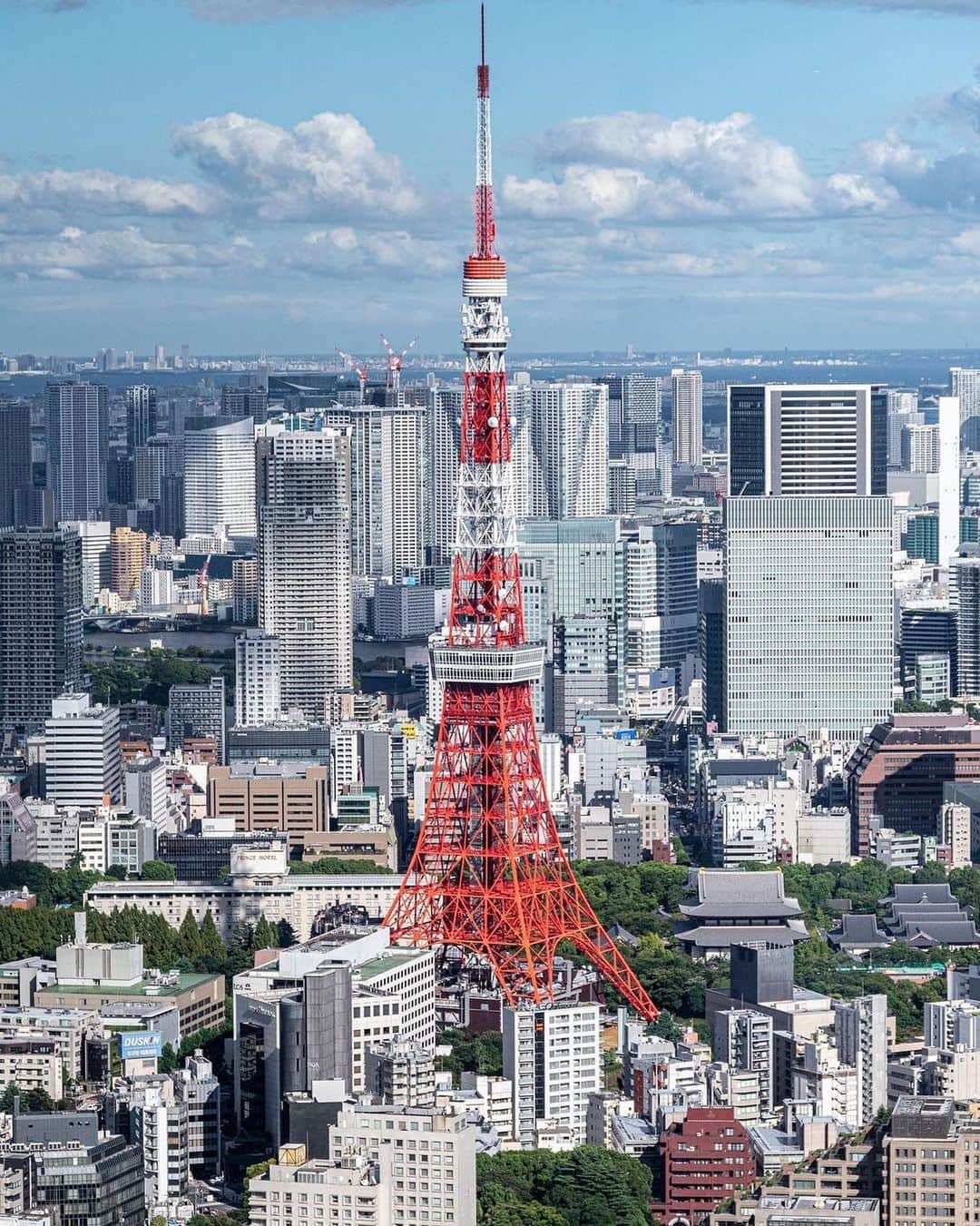 Promoting Tokyo Culture都庁文化振興部さんのインスタグラム写真 - (Promoting Tokyo Culture都庁文化振興部Instagram)「The vivid colour of Tokyo Tower has captivated people for more than 60 years, and has been well-maintained as it is repainted approximately every five years 🗼 It may be a radio tower, but it's also an indispensable symbol of Tokyo itself. - グレイッシュなビル群を、東京タワーのビビッドなオレンジが明るく彩ります 🗼 60年以上の間人々を魅了してきた鮮やかな色合いは、塗装職人による約5年周期の塗り替えによって保たれてきました。 電波塔という役目のみならず、東京を代表するシンボルとしてなくてはならない存在です。  #tokyoartsandculture 📸: @photofuku」4月12日 21時01分 - tokyoartsandculture