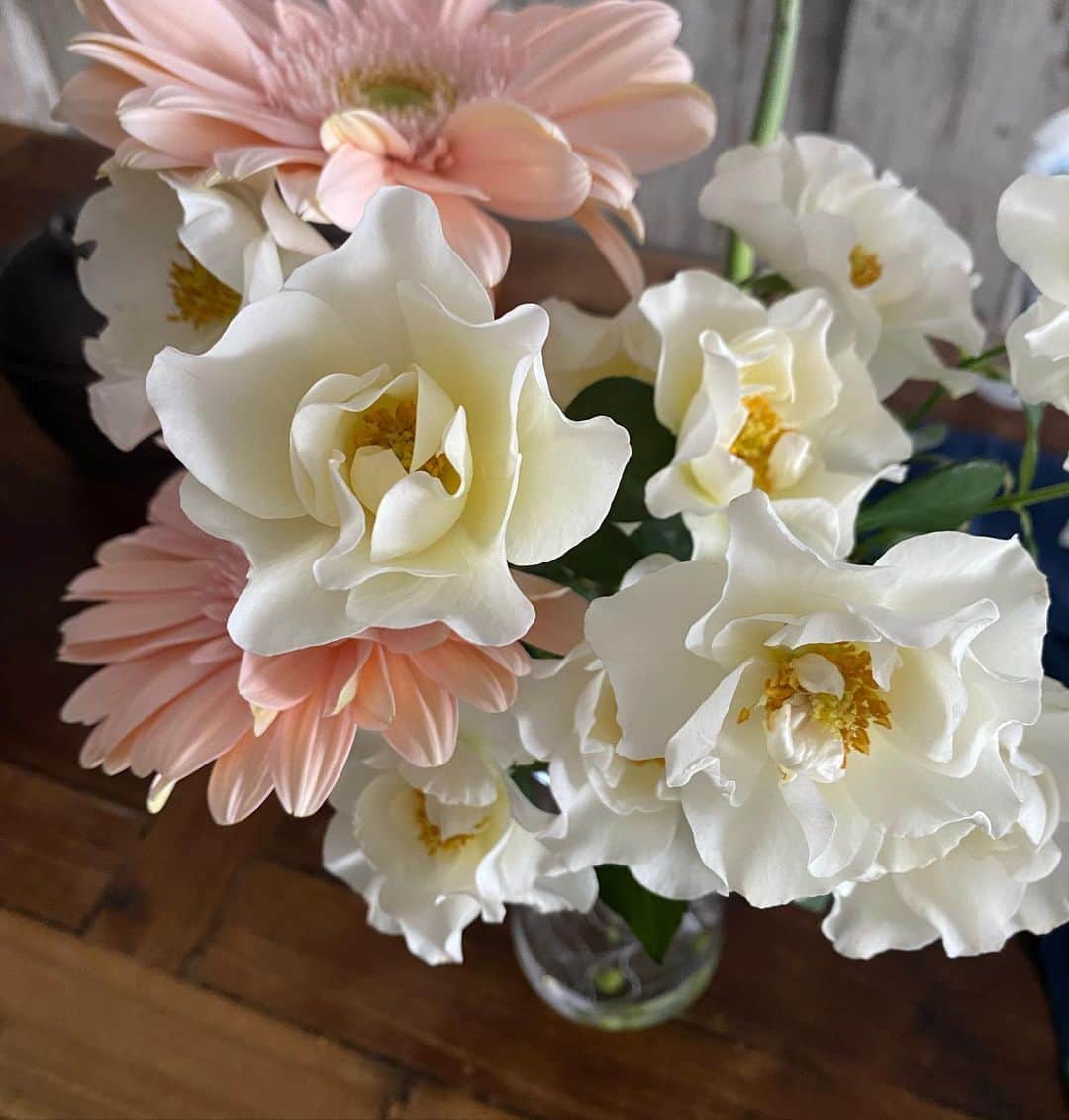 akkoさんのインスタグラム写真 - (akkoInstagram)「お花を買って来ました☺️ 『ソープ』というガーベラと、 『ウェディングドレス』というスプレーバラ🌹 まるで石鹸のいい香りがして、ドレスのようにヒラヒラしているような、とっても可愛いお花たち☺️💖 春がやって来て、我が家の植物も賑わい始めています❣️先日もまたカエルくんを起こしてしまった😂笑  ちなみに左端に写っているのは、ライブの時に頂いたバルーンです🎈ありがとね💖  #akko #akkostagram #mll #笑顔の連鎖」4月12日 21時48分 - mllakko