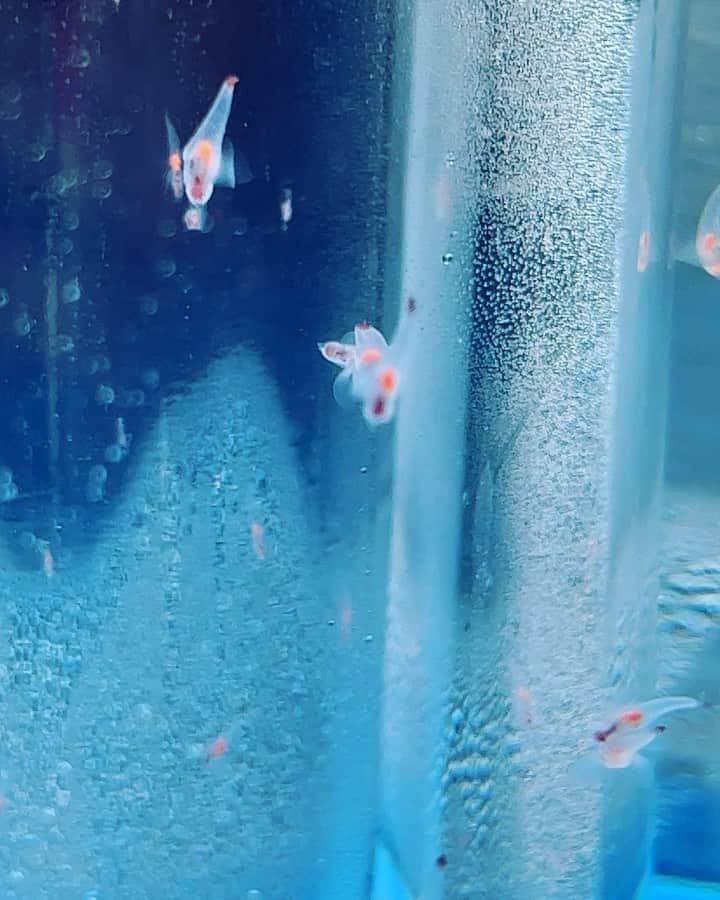 sayaのインスタグラム：「🫧🫧🫧  😮💜  saya」
