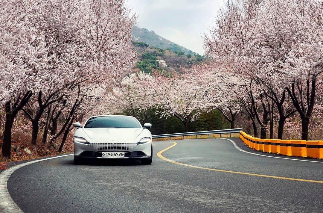 Ferrari APACのインスタグラム：「Embark on an elegant journey through the seductive embrace of spring with the #FerrariRoma. #LaNuovaDolceVita #Ferrari #FerrariAPAC #Korea」