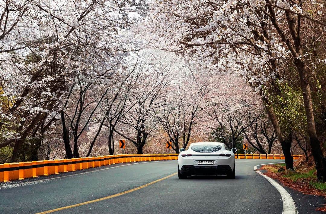 Ferrari APACさんのインスタグラム写真 - (Ferrari APACInstagram)「Embark on an elegant journey through the seductive embrace of spring with the #FerrariRoma. #LaNuovaDolceVita #Ferrari #FerrariAPAC #Korea」4月12日 13時28分 - ferrariapac