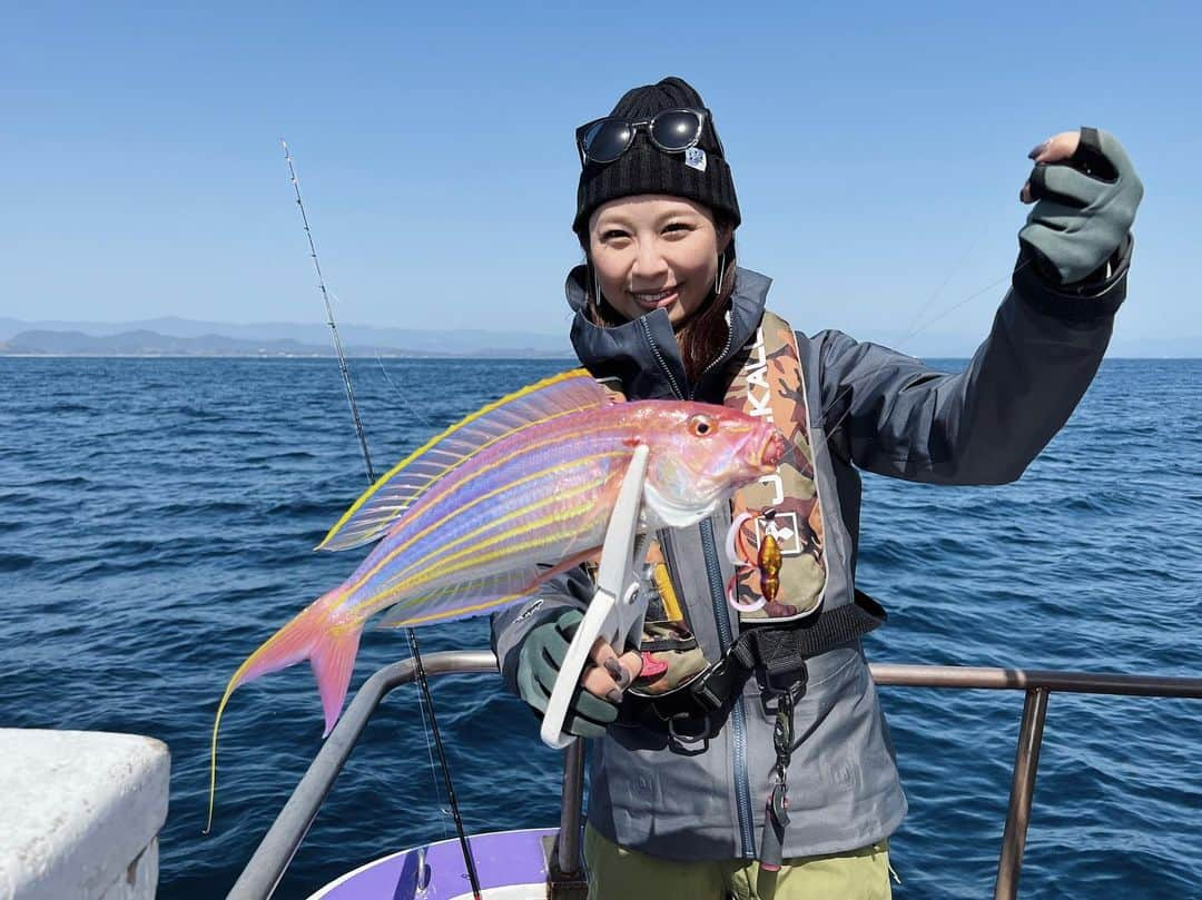 石川文菜さんのインスタグラム写真 - (石川文菜Instagram)「綺麗なイトヨリ🎣✨  皮を剥いでもこの鮮やかな黄色のラインはしっかり残っているので、料理がとっても華やかになる🍽️  過去投稿にてアップしています📸  #JACKALL #ビンビンスイッチ #オフショア #タイラバ #釣果 #釣果グラム #釣り #釣りスタグラム」4月12日 14時06分 - bun0404