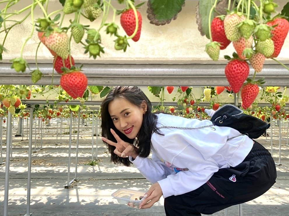 高橋まりのインスタグラム：「🍓  めちゃくちゃ楽しかったんですが！？！？！？！  お日様浴びる遊びたくさんしたいな☺️」