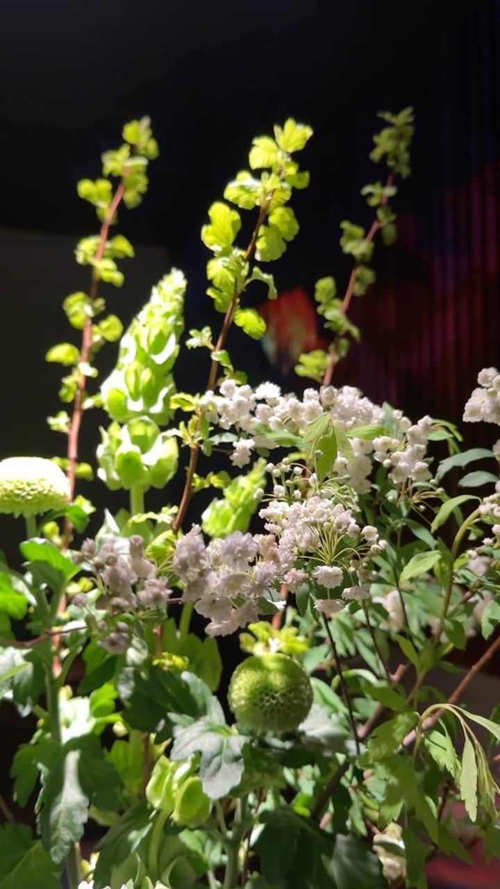 中川友里のグルメインスタ