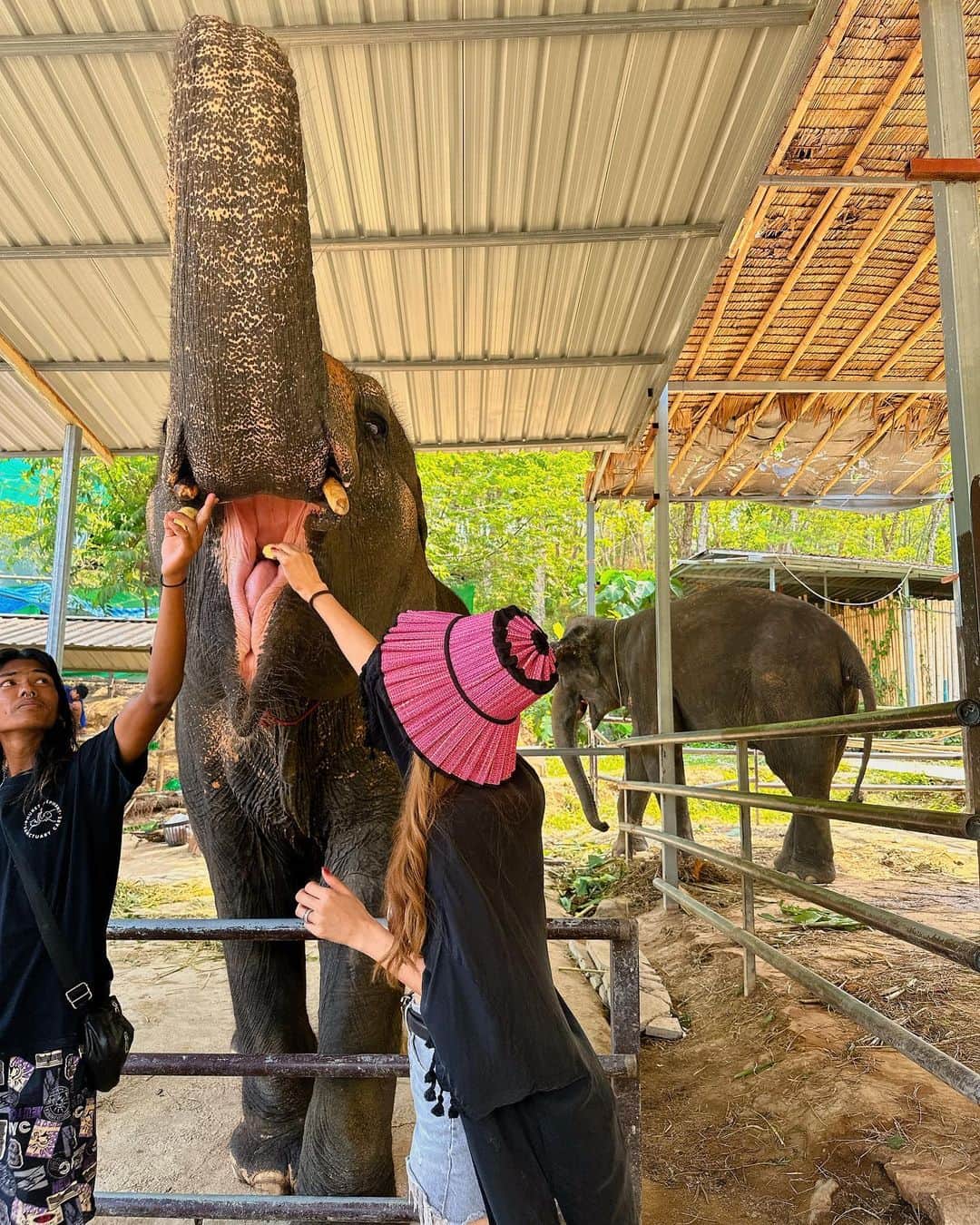 小林明実さんのインスタグラム写真 - (小林明実Instagram)「ゾウ🦣✨ 子供達は怖くて触れず 私とアンティがはしゃぎ まくったとゆう結果に なりました✨  #タイ #Phuket #ぞう」4月12日 14時44分 - akemi.1177
