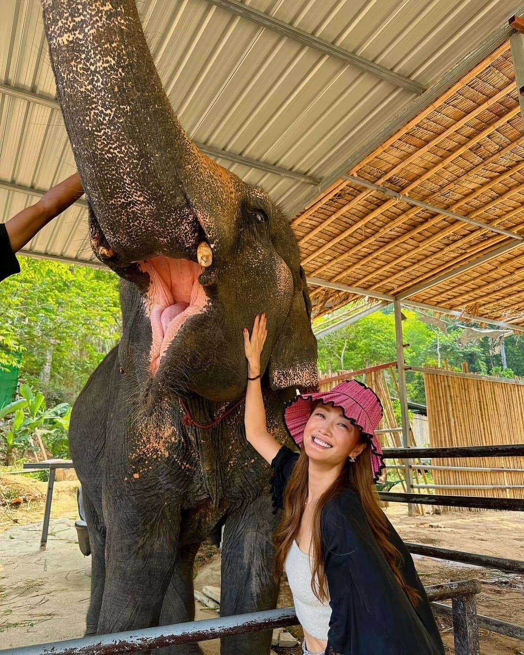小林明実さんのインスタグラム写真 - (小林明実Instagram)「ゾウ🦣✨ 子供達は怖くて触れず 私とアンティがはしゃぎ まくったとゆう結果に なりました✨  #タイ #Phuket #ぞう」4月12日 14時44分 - akemi.1177