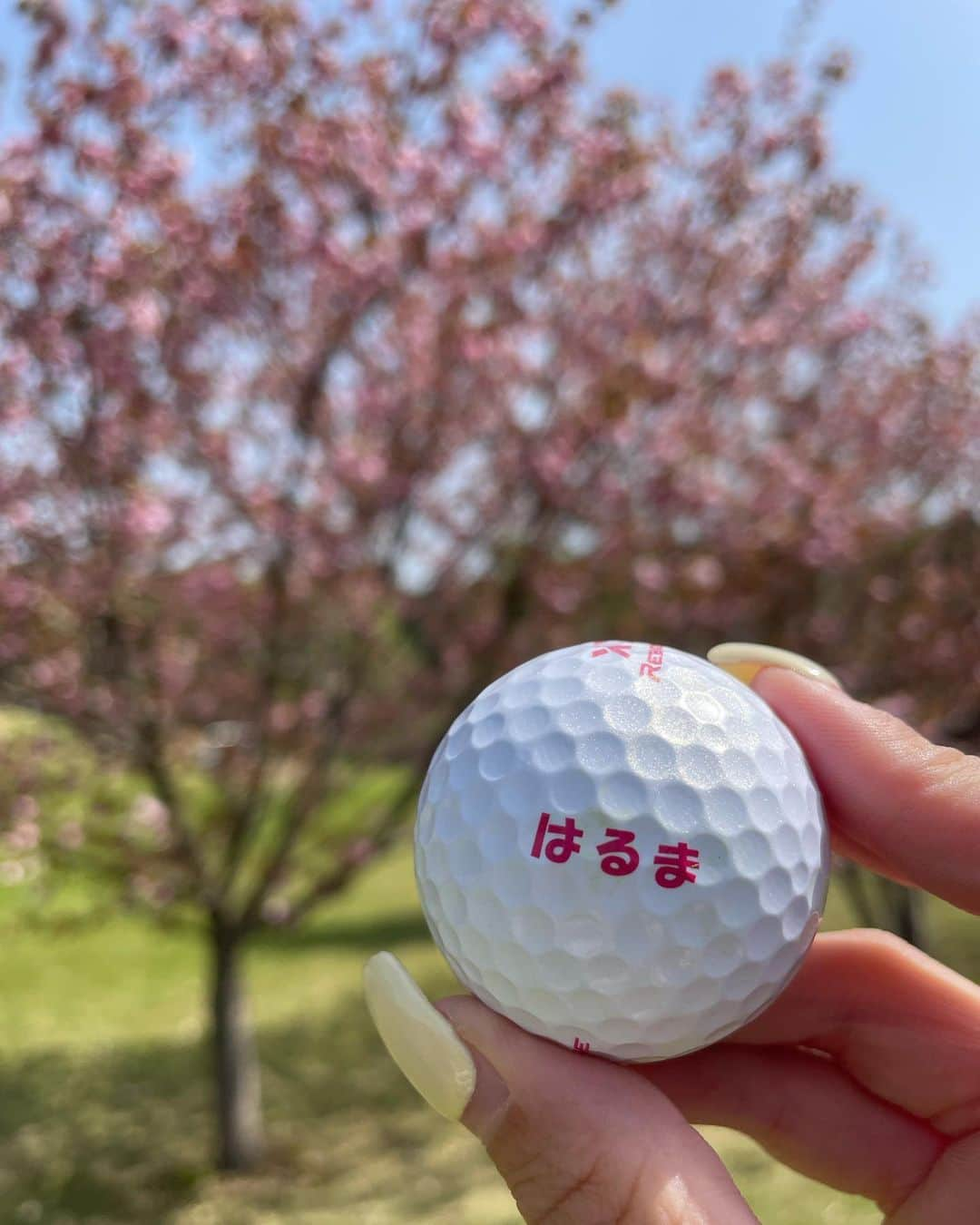 はるまさんのインスタグラム写真 - (はるまInstagram)「バーディーズカップ初戦⛳️ ご参加下さった皆様ありがとうございました💕  ゼクシオのボール、パターの時見やすくてすき🫶 このボールのお陰で32パット、86でした🫣  新ペリ1位ありがとうございます✨  @official_xxio  #golf #ゴルフ #ゼクシオ #ゼクシオリバウンドドライブ #ゼクシオALLOK」4月12日 14時55分 - 0112haruma