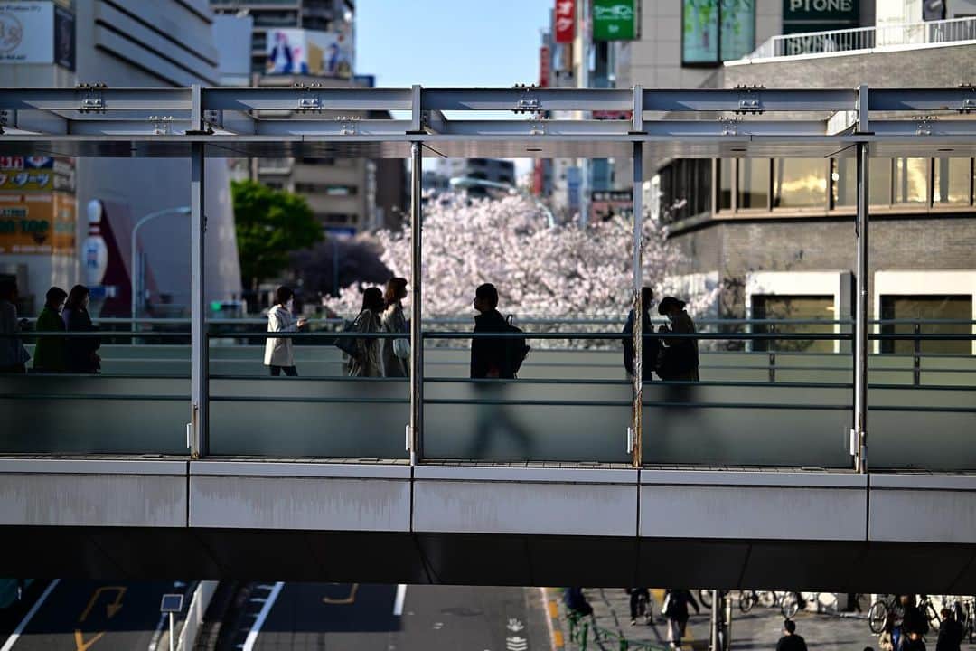 佐藤東弥さんのインスタグラム写真 - (佐藤東弥Instagram)「#Z9 #z85mmf12s #nikon」4月12日 15時19分 - touyasato