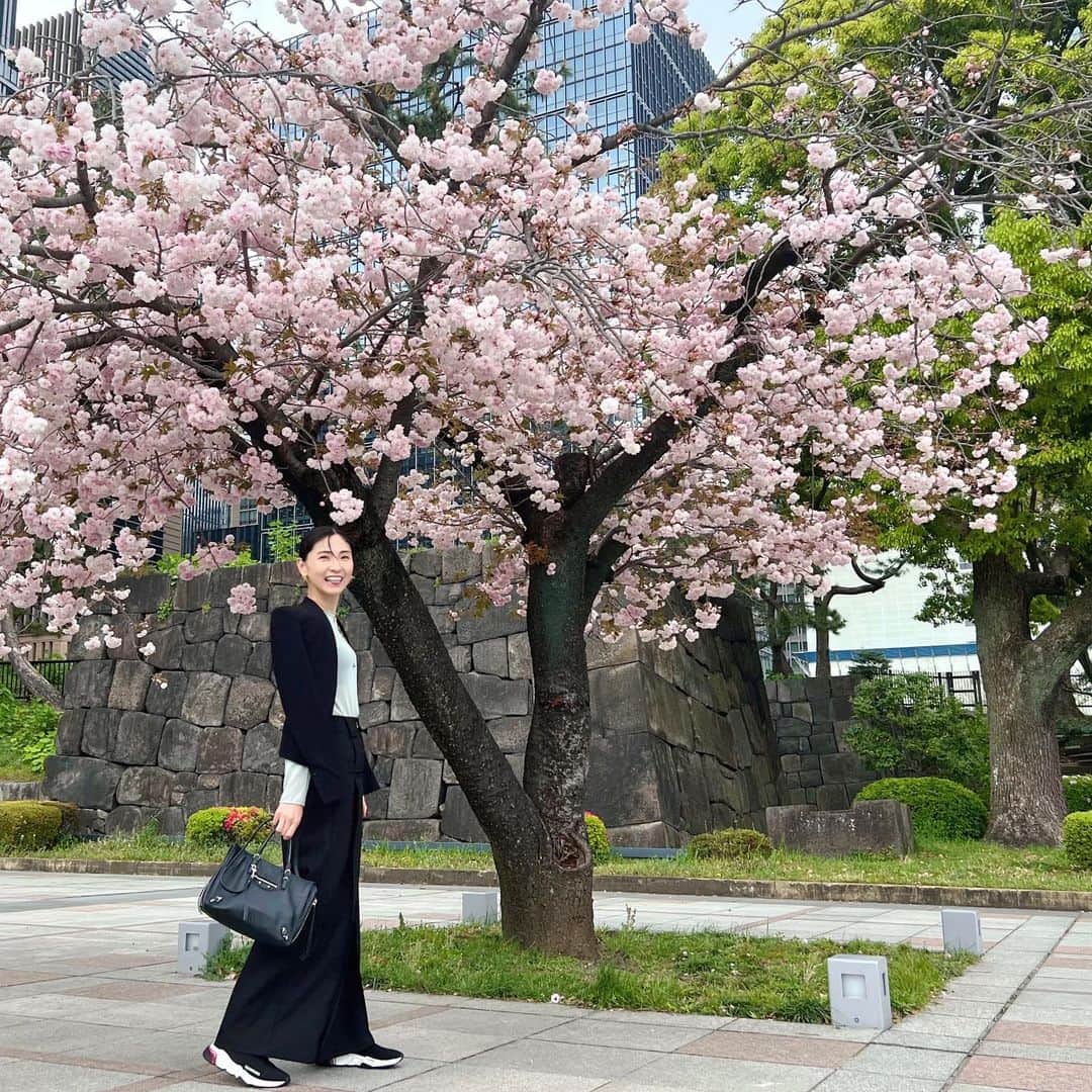 和泉佑三子のインスタグラム：「これは何ていう桜🌸なのかな... ここだけ満開で、 幸せな気持ちになりました📷」