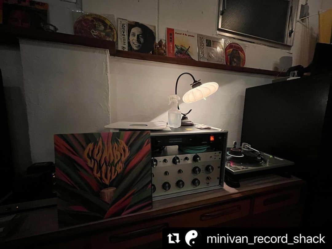 有坂美香のグルメインスタ