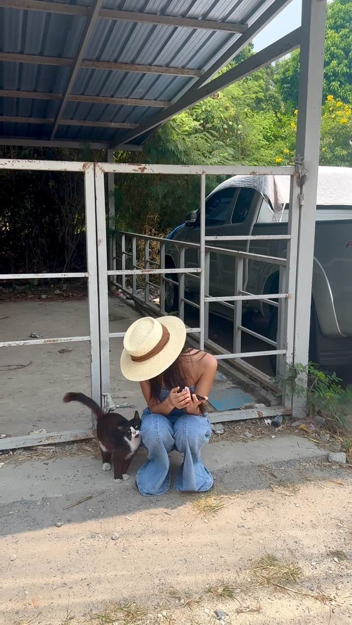 キム・ボラムのインスタグラム：「뭐라는지 정말 알아듣고 싶어 🥲#개냥이 ♥️」