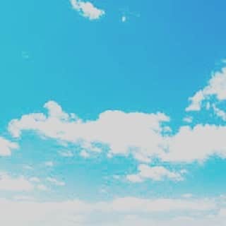 のインスタグラム：「Spring」