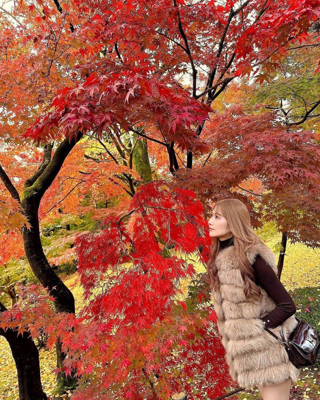のインスタグラム：「.  『 #そうだ京都行こう🍁 』  夕方について 次の日の昼に帰りました🫣笑  . #時差 #紅葉 #永観堂 #京都観光」