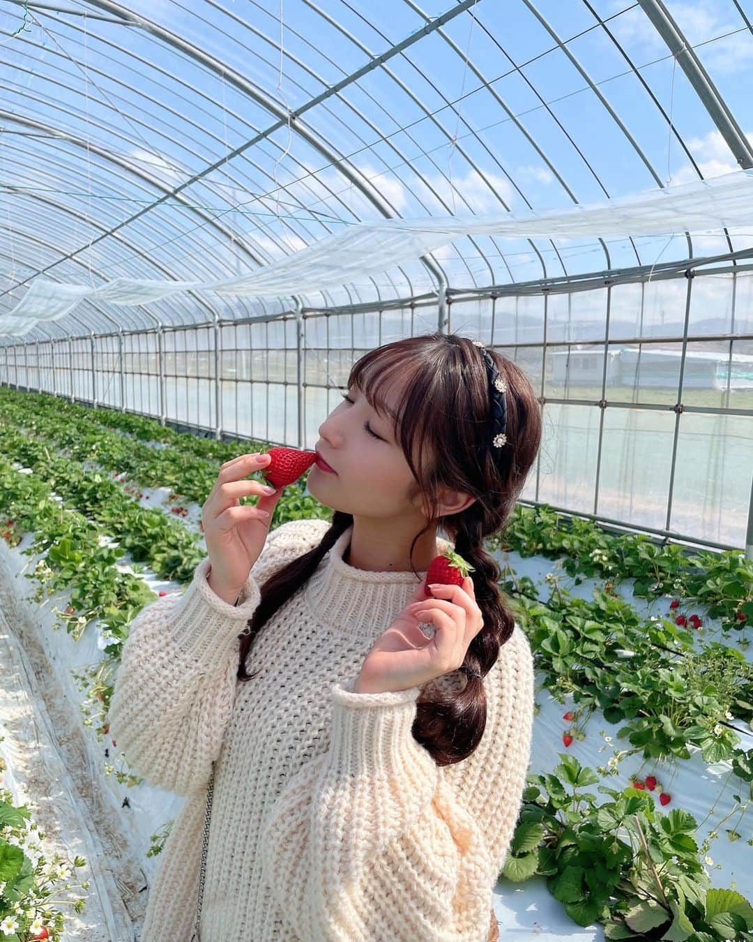 藤園麗さんのインスタグラム写真 - (藤園麗Instagram)「いちご狩り行った時の〜！🍓🤍 ずっといちごの季節だったらいいのに...💭 . いちご狩りに合わせて三つ編みにしたよ！ . . . #いちごスイーツ #いちご #いちご狩り #ニット #ニットコーデ #三つ編みアレンジ #三つ編み #ヘアアレンジ #いちご狩りコーデ #カチューシャ #カチューシャアレンジ #カチューシャヘア #カチューシャコーデ」4月12日 15時58分 - reifujizono_official