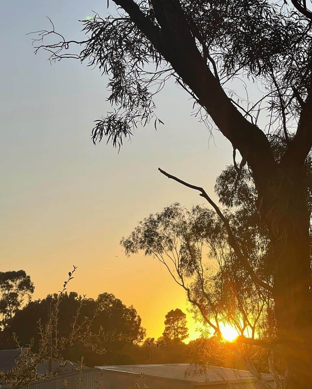 Victoria Leeのインスタグラム：「A little snap of home 🤍」