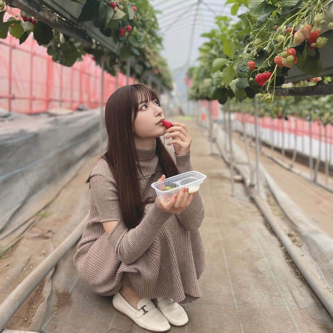 雪平莉左さんのインスタグラム写真 - (雪平莉左Instagram)「🍓🍓🍓」4月12日 16時39分 - risa_yukihira