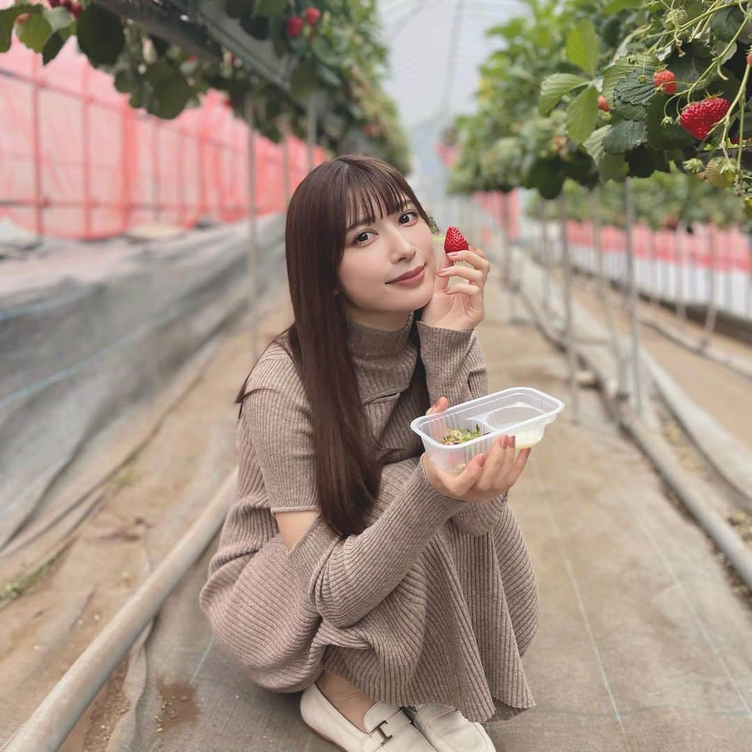 雪平莉左さんのインスタグラム写真 - (雪平莉左Instagram)「🍓🍓🍓」4月12日 16時39分 - risa_yukihira