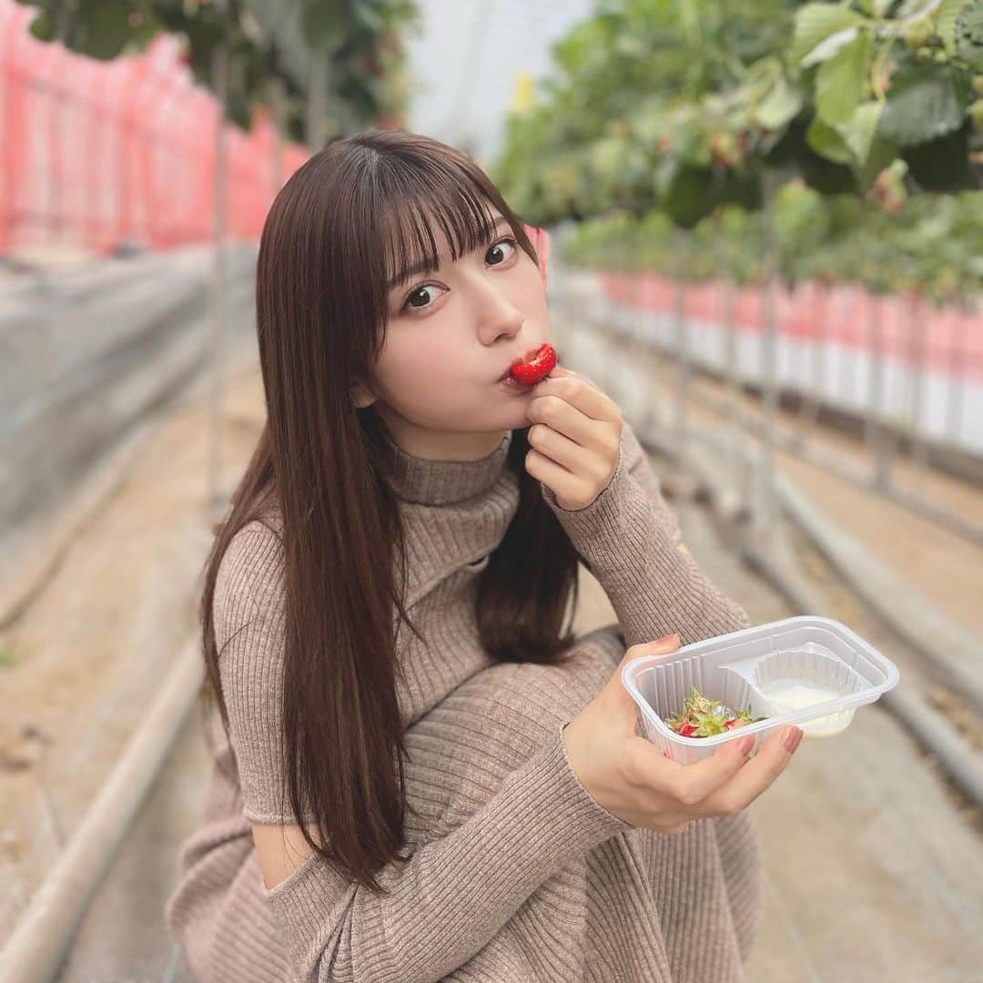 雪平莉左さんのインスタグラム写真 - (雪平莉左Instagram)「🍓🍓🍓」4月12日 16時39分 - risa_yukihira
