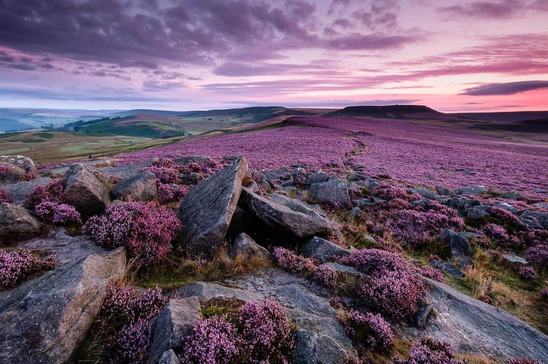 Fujifilm UKのインスタグラム：「Purple dawn in the Peak District 💜  "This shot was taken at 5am before the sun rose. The view was spectacular with the colour of the sky matching the heather on the moor."  📸: @chrisuptonphoto  #FUJIFILMXT2 XF10-24mmF4 R OIS WR f/11, ISO 200, 2 sec.」