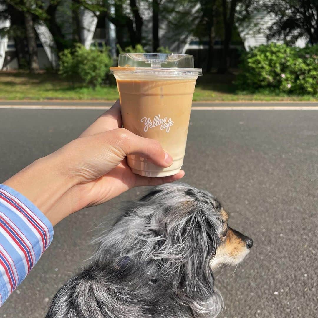 長坂 睦生のインスタグラム：「天気良かった日の朝活☕️」
